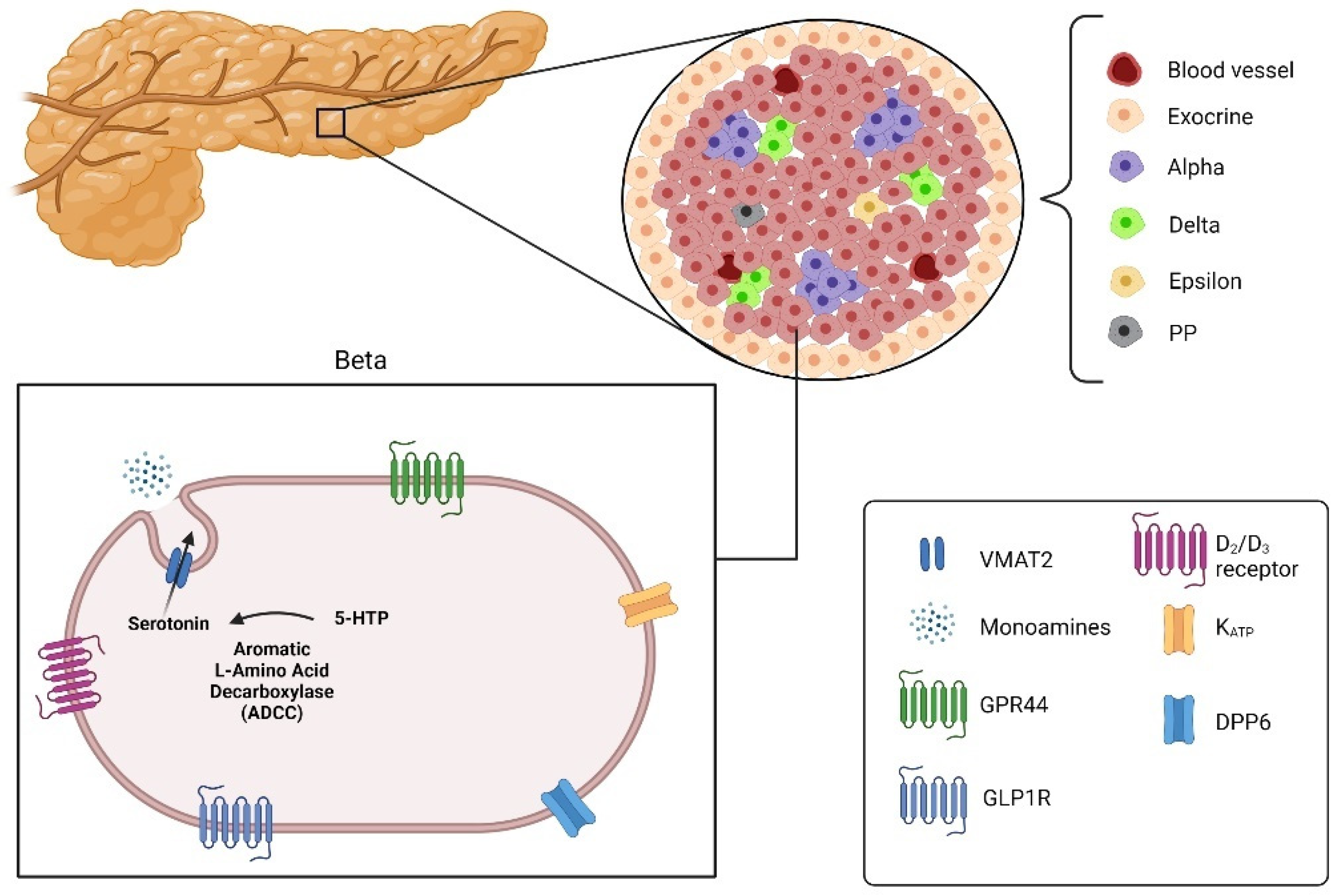 Biomedicines 09 01824 g003