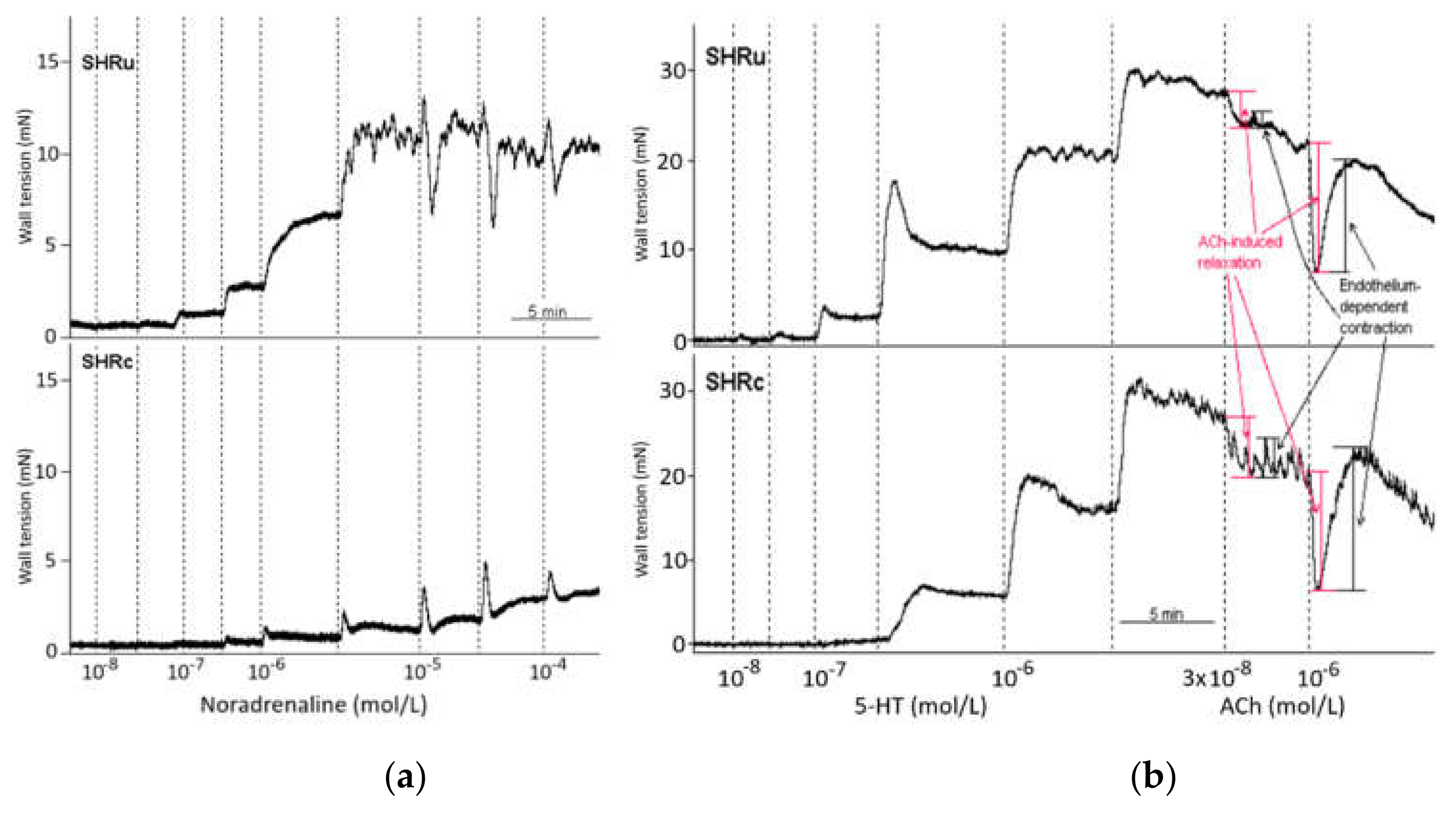 Biomedicines 09 01855 g001