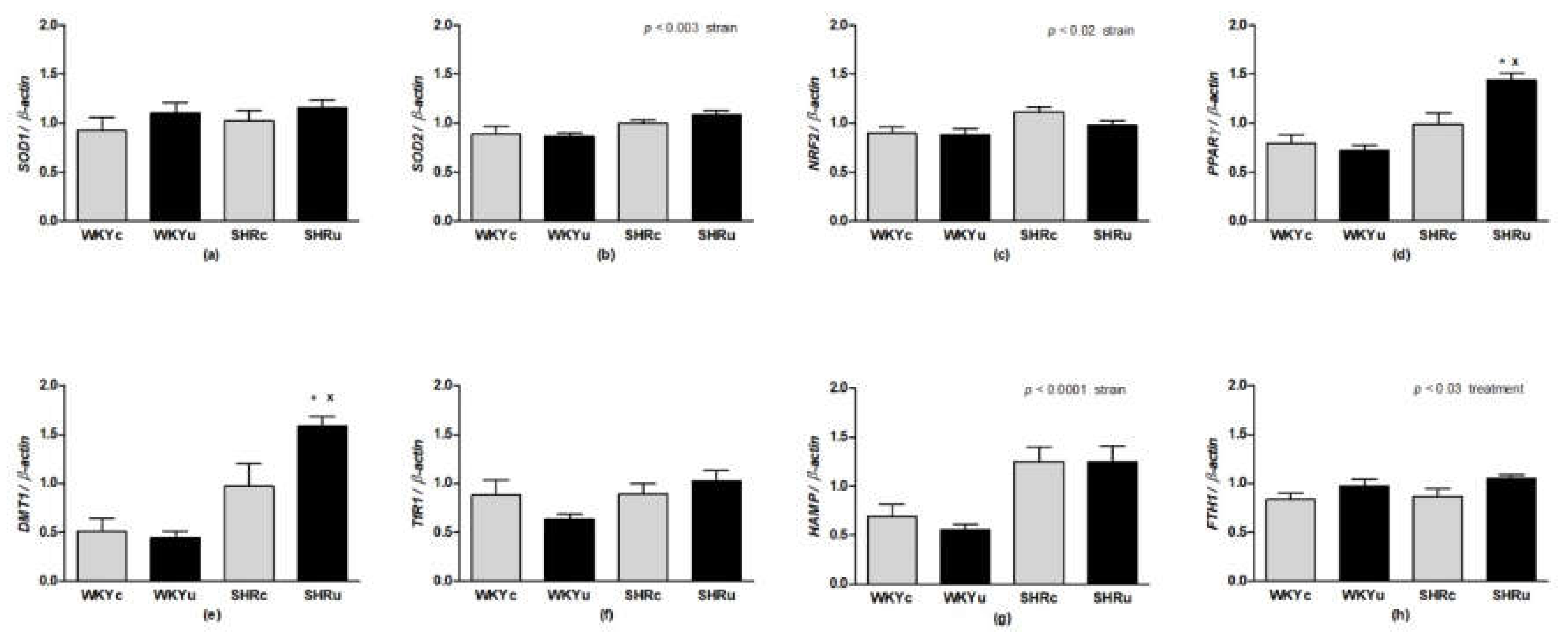 Biomedicines 09 01855 g008