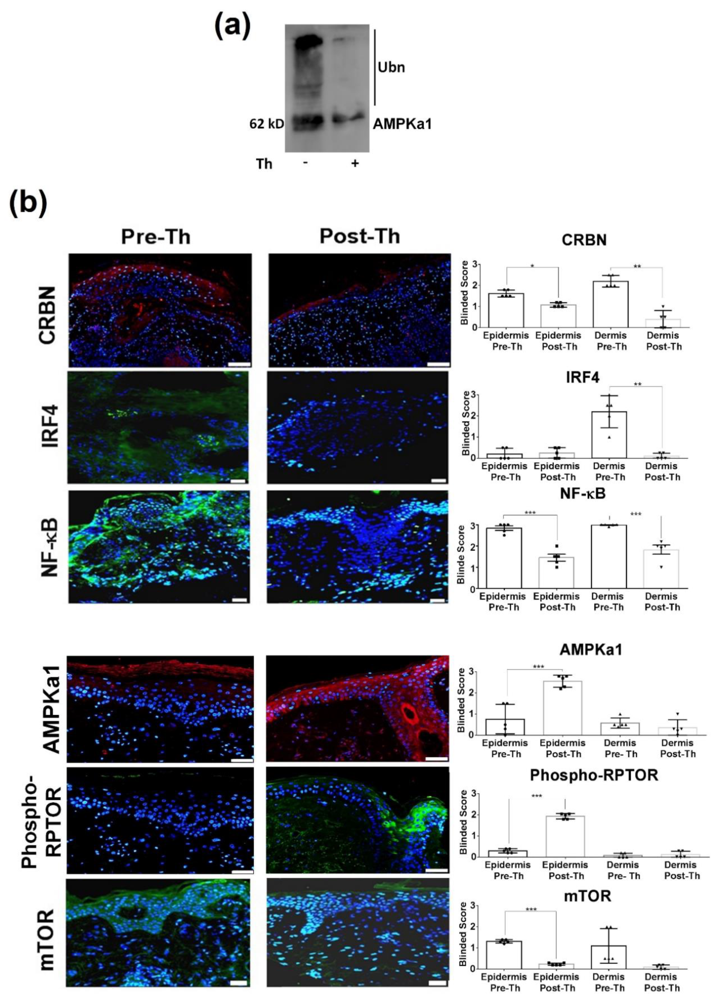 Biomedicines 09 01857 g003 Biomedicines 09 01857 g003