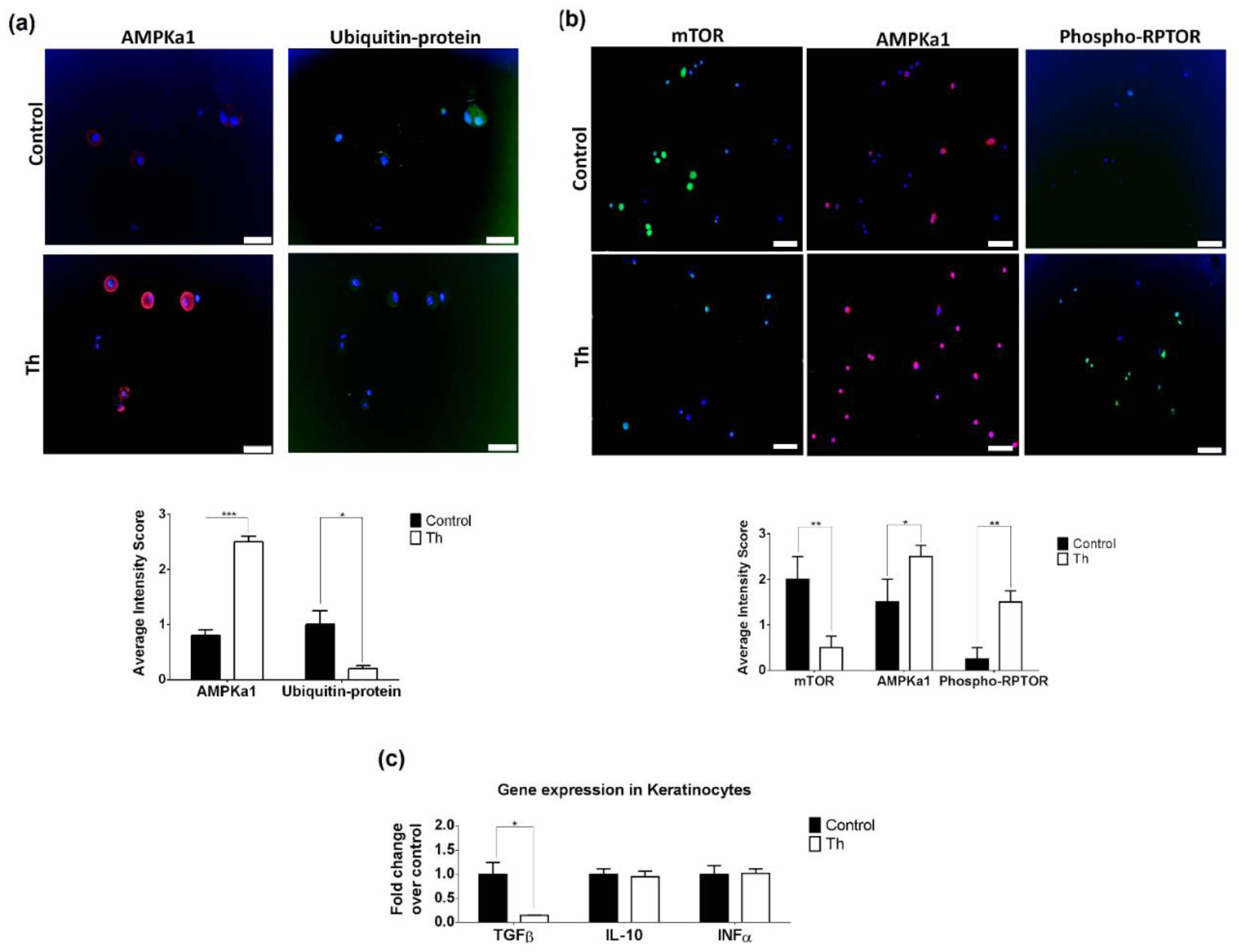 Biomedicines 09 01857 g005 Biomedicines 09 01857 g005