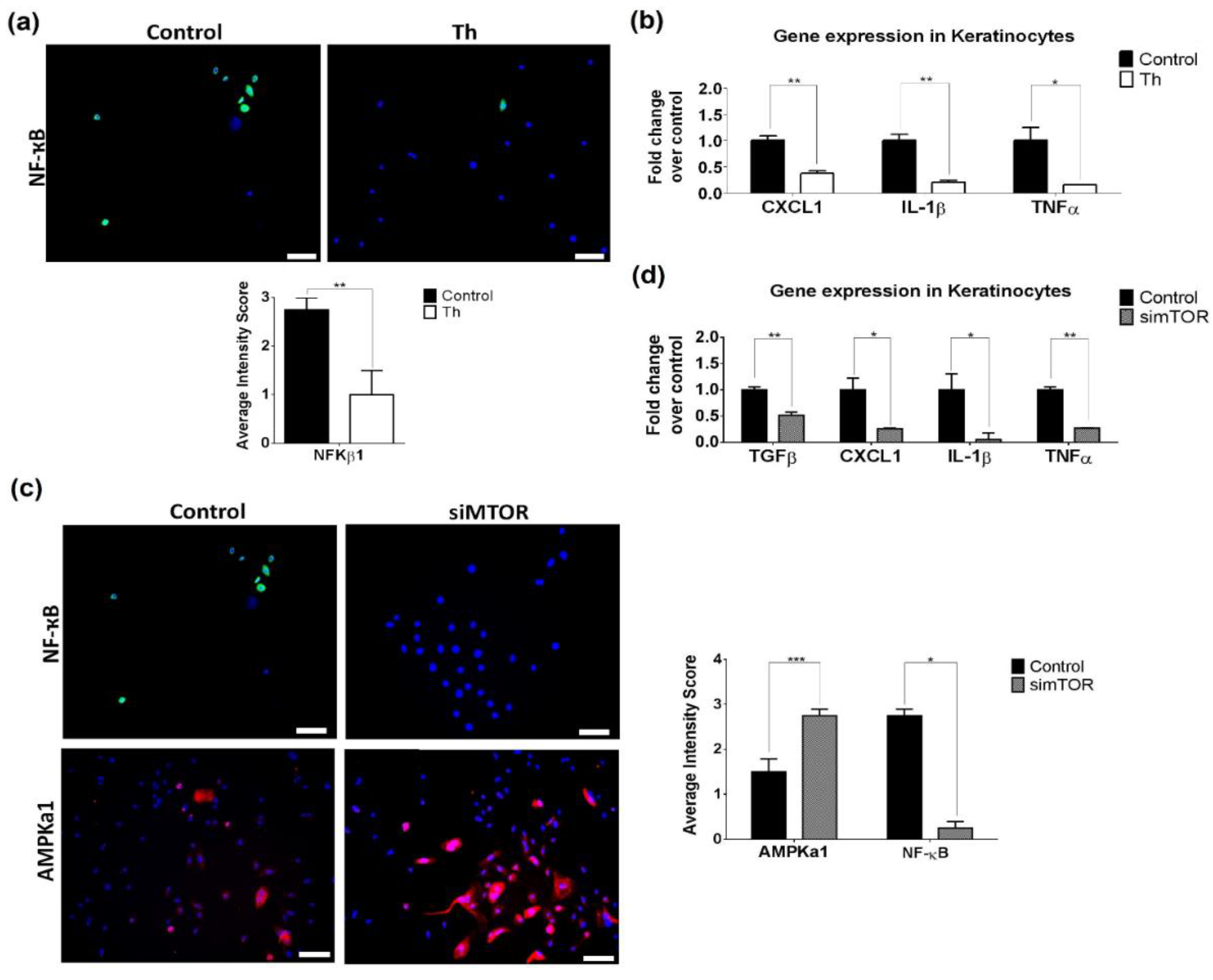 Biomedicines 09 01857 g006 Biomedicines 09 01857 g006