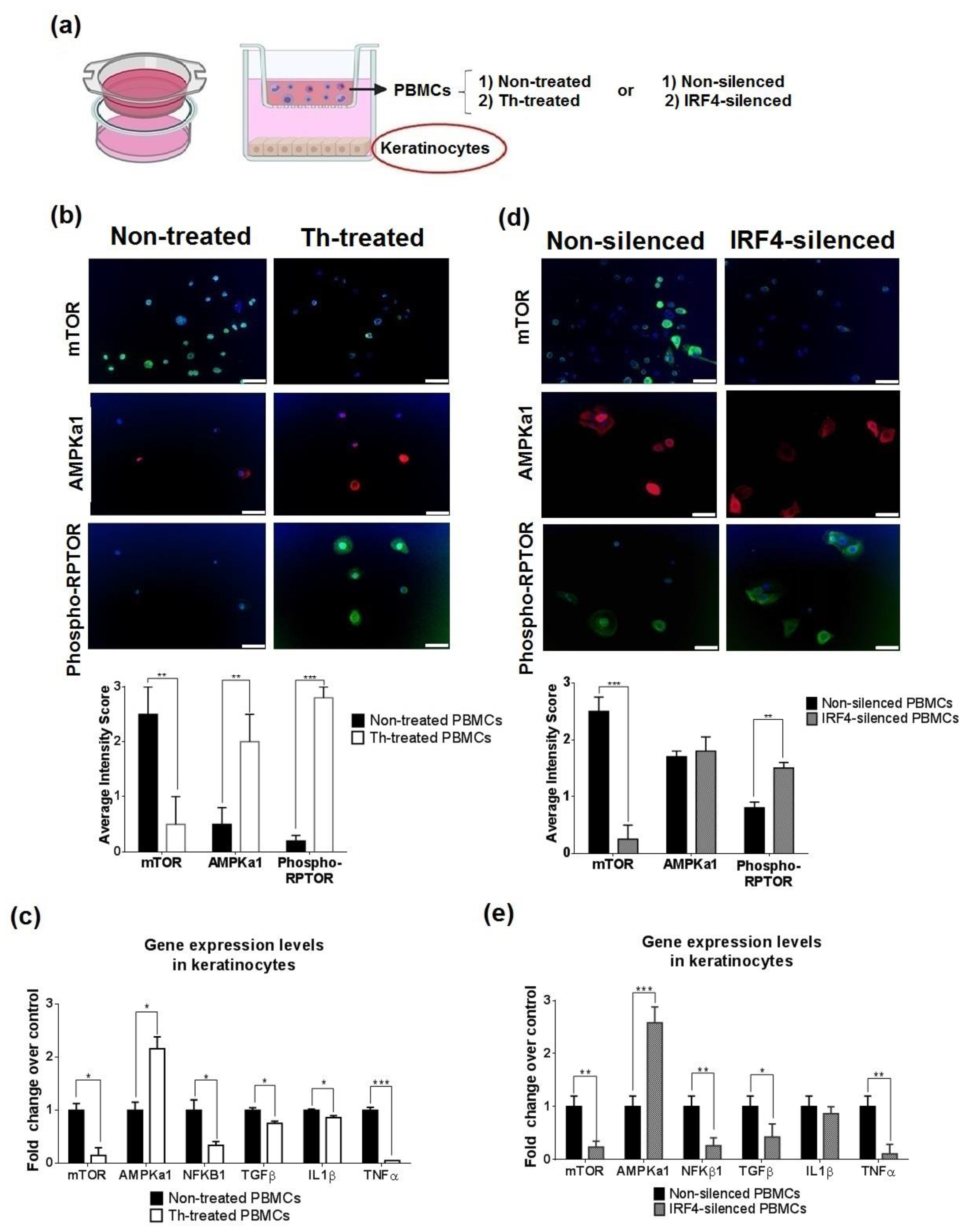Biomedicines 09 01857 g007 Biomedicines 09 01857 g007