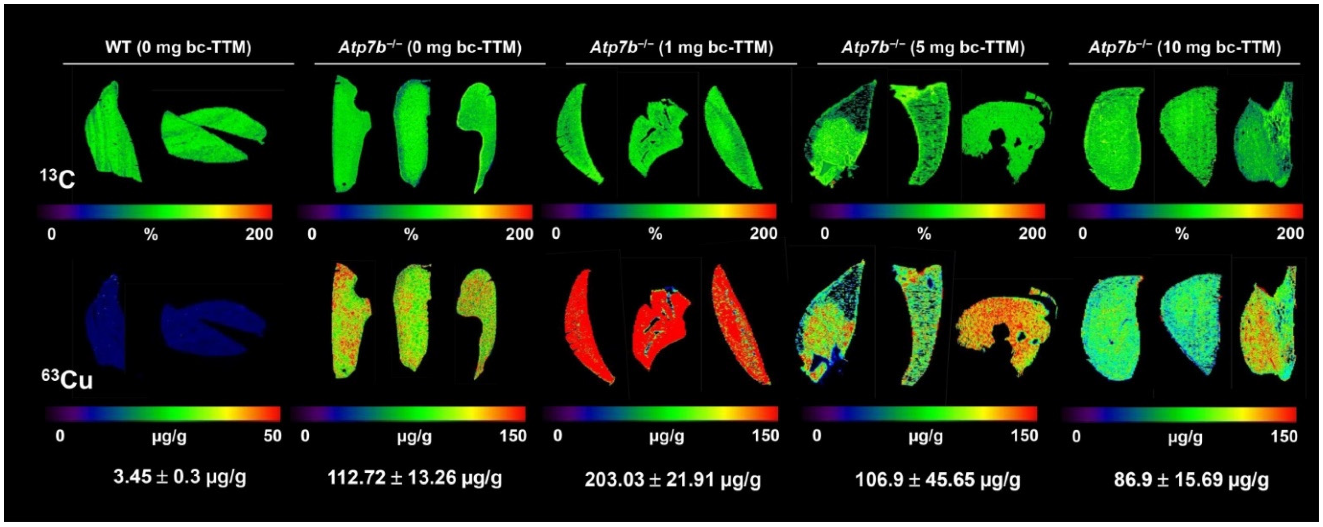 Biomedicines 09 01861 g001 Biomedicines 09 01861 g001