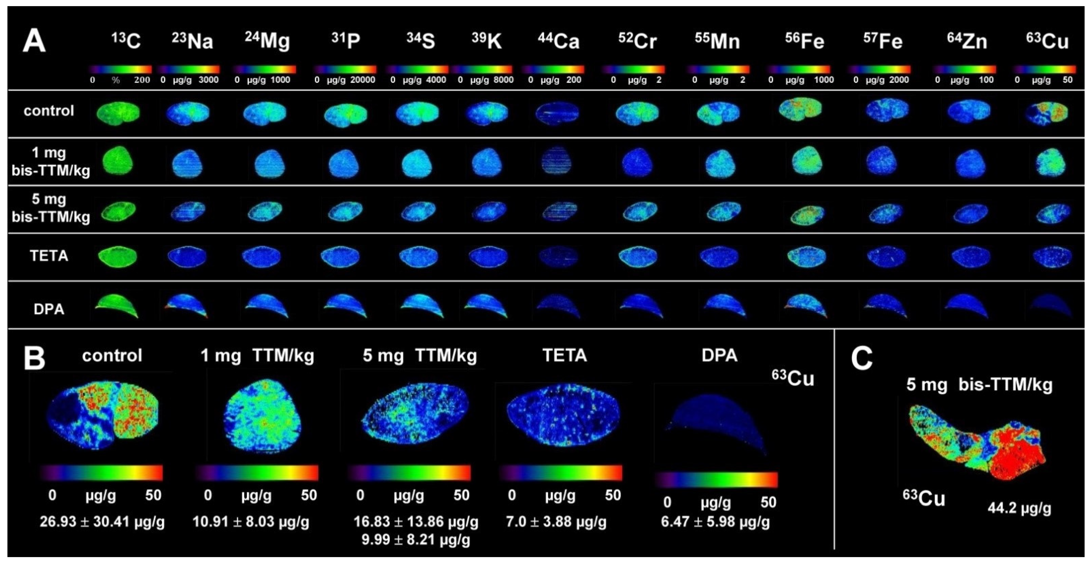Biomedicines 09 01861 g003 Biomedicines 09 01861 g003