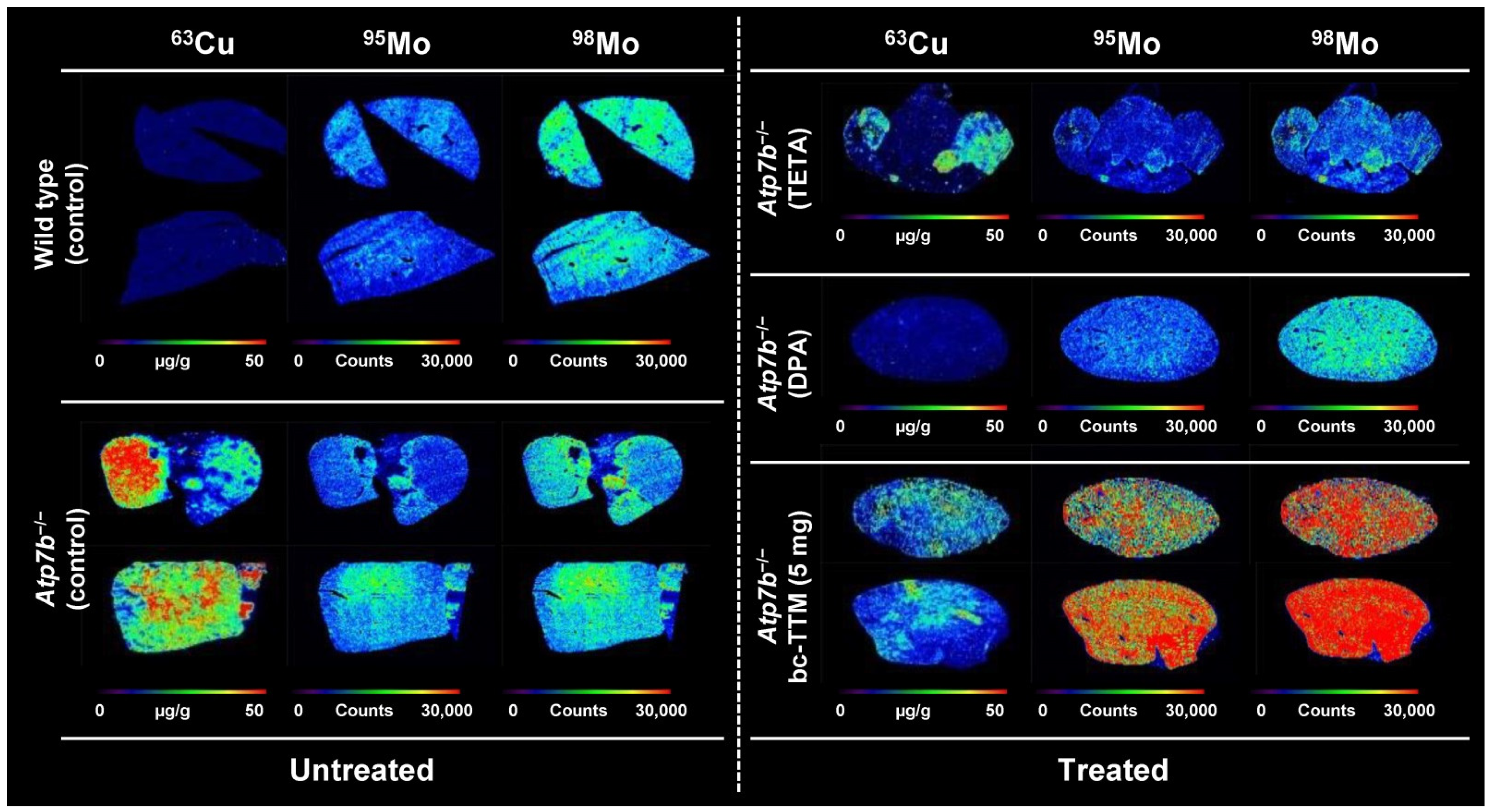 Biomedicines 09 01861 g004 Biomedicines 09 01861 g004