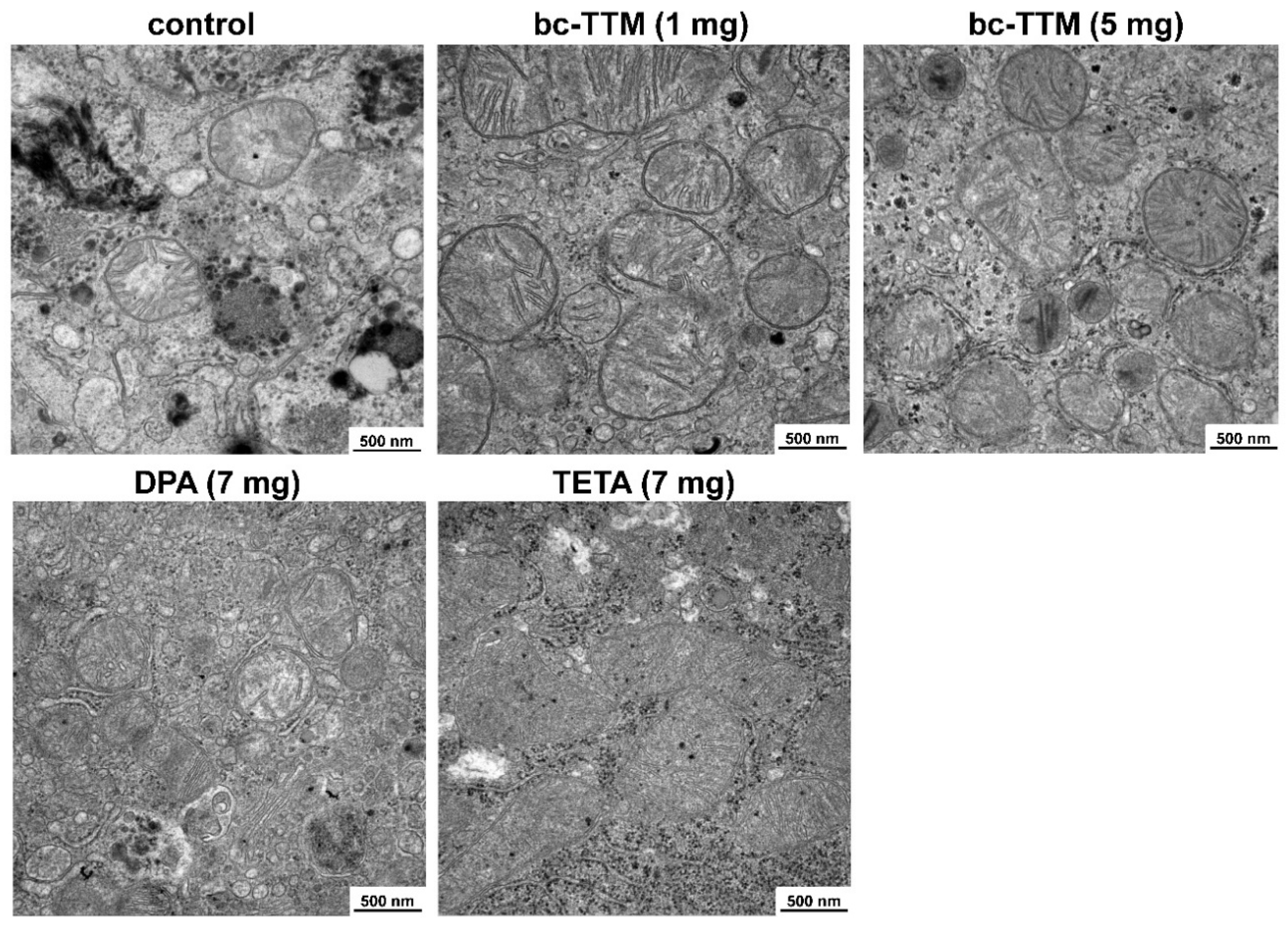 Biomedicines 09 01861 g006 Biomedicines 09 01861 g006