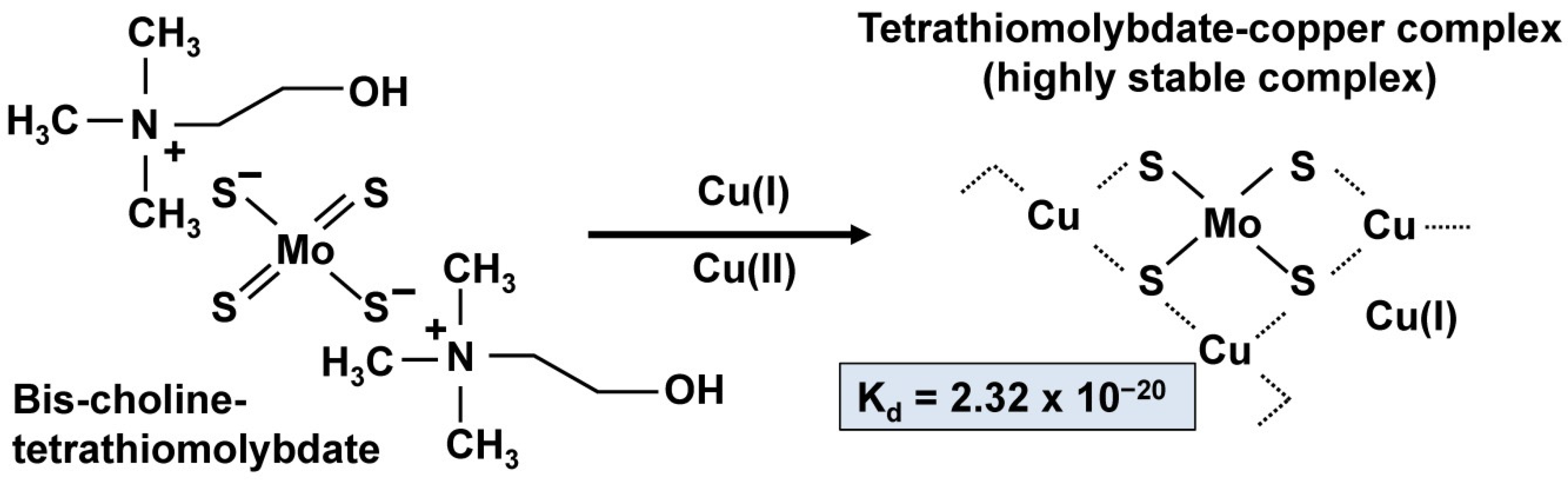 Biomedicines 09 01861 g007 Biomedicines 09 01861 g007