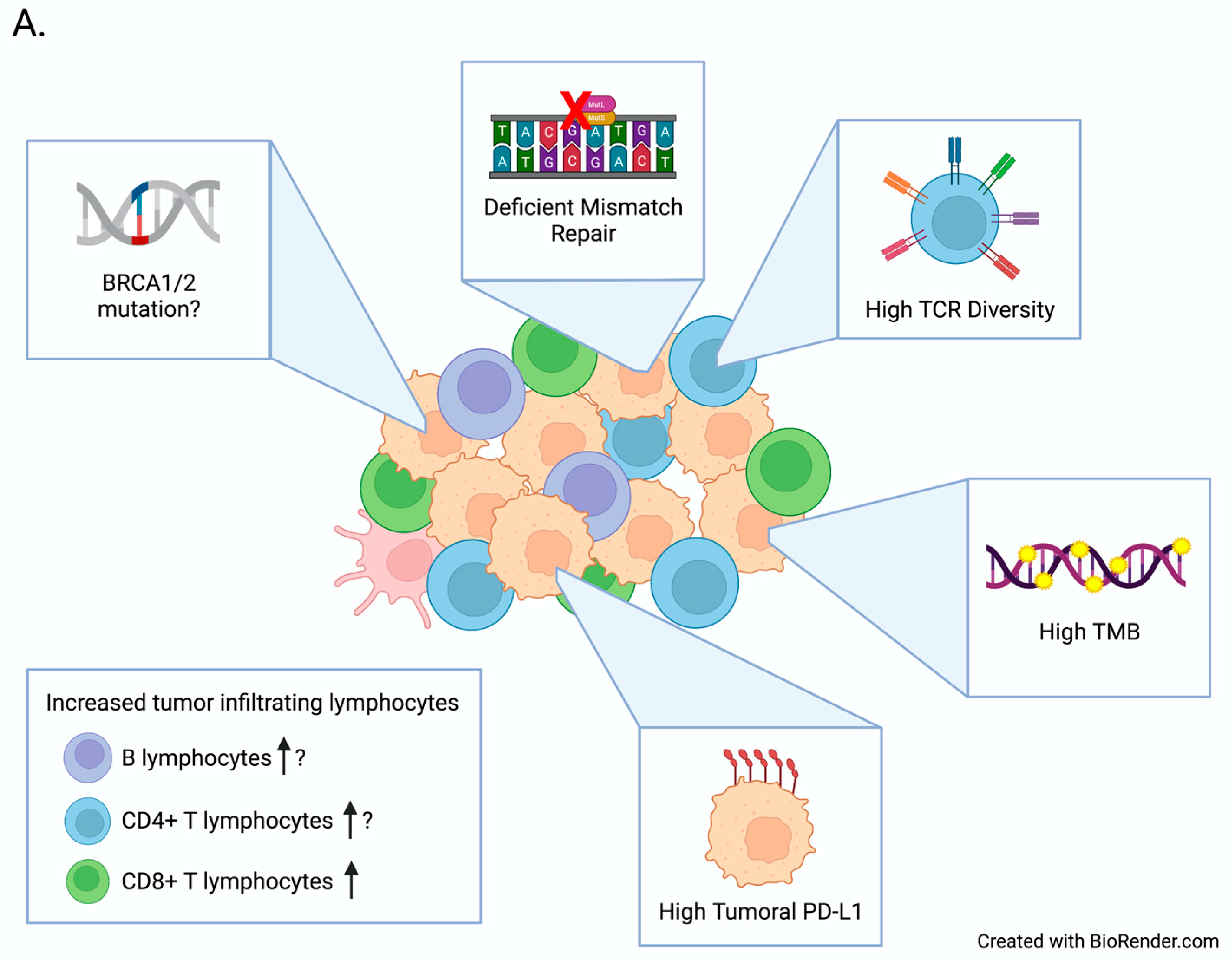 Biomedicines | Free Full-Text | Predictive Biomarkers of Immune Checkpoint  Inhibitor Response in Breast Cancer: Looking beyond Tumoral PD-L1 | HTML