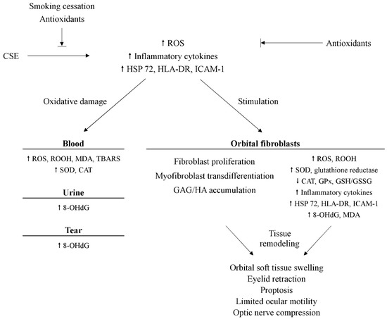 Statins for Graves' orbitopathy (STAGO): a phase 2, open-label, adaptive,  single centre, randomised clinical trial - The Lancet Diabetes &  Endocrinology