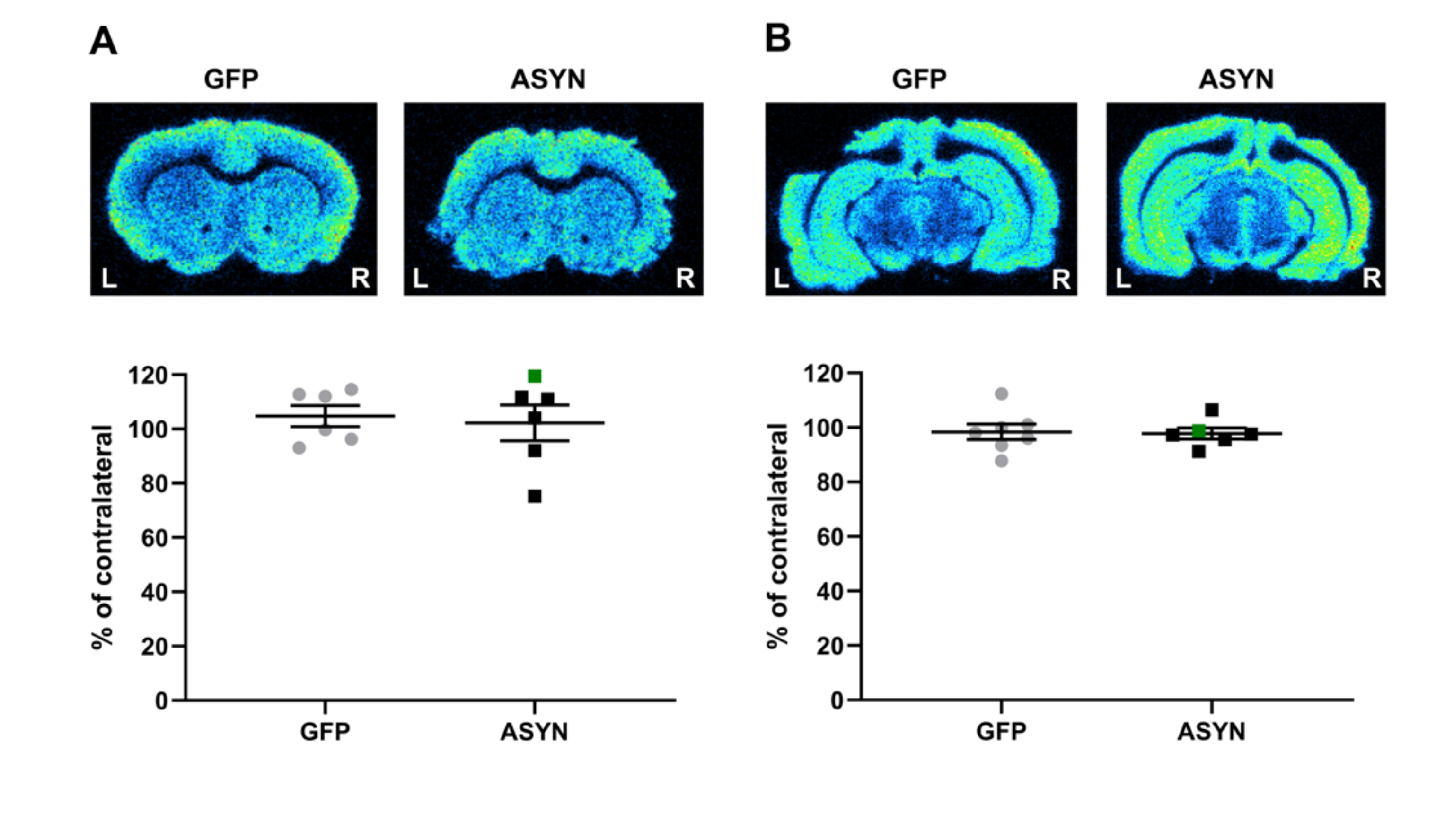 Biomedicines 09 01876 g005