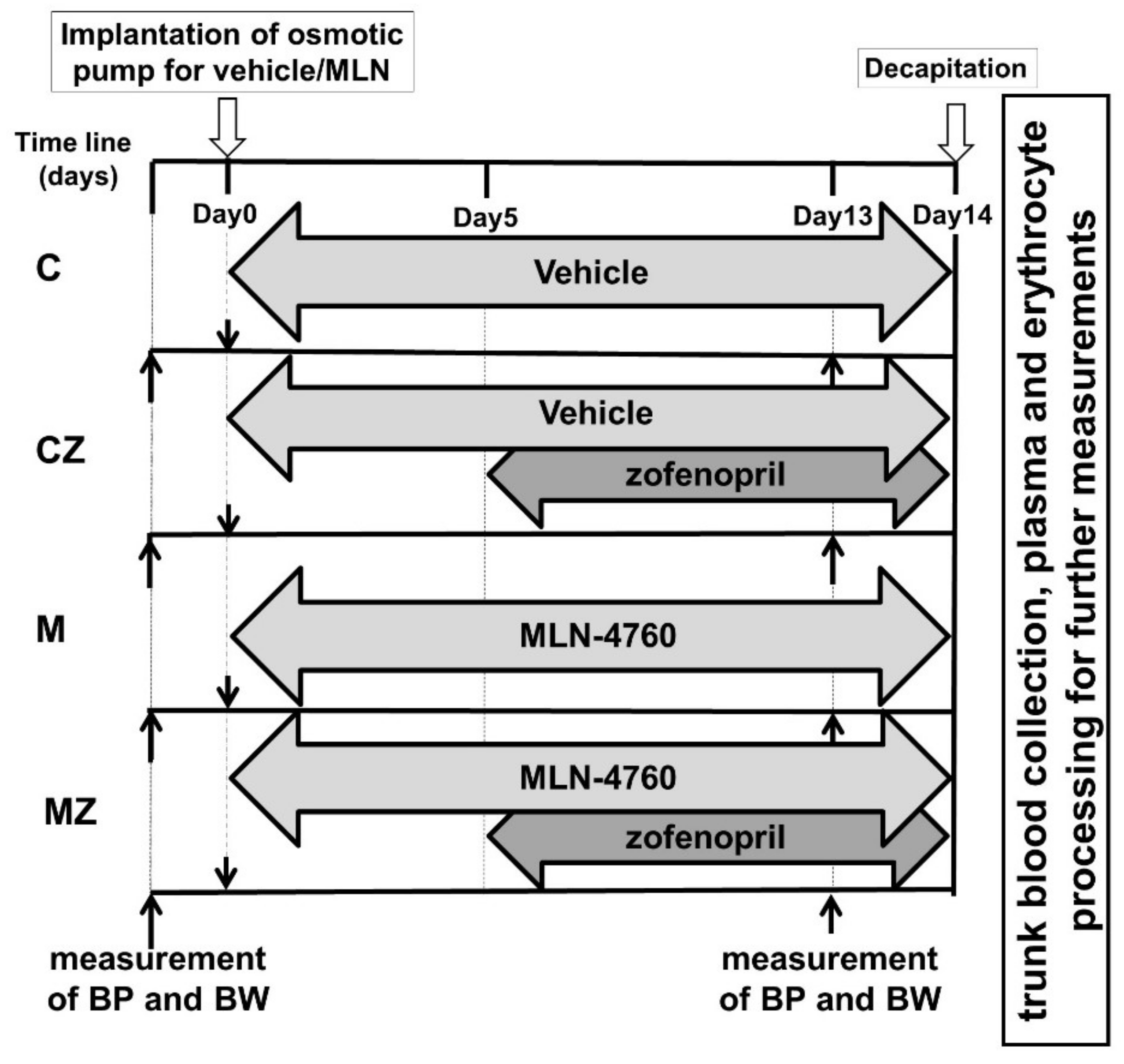 Biomedicines 09 01902 g001 Biomedicines 09 01902 g001
