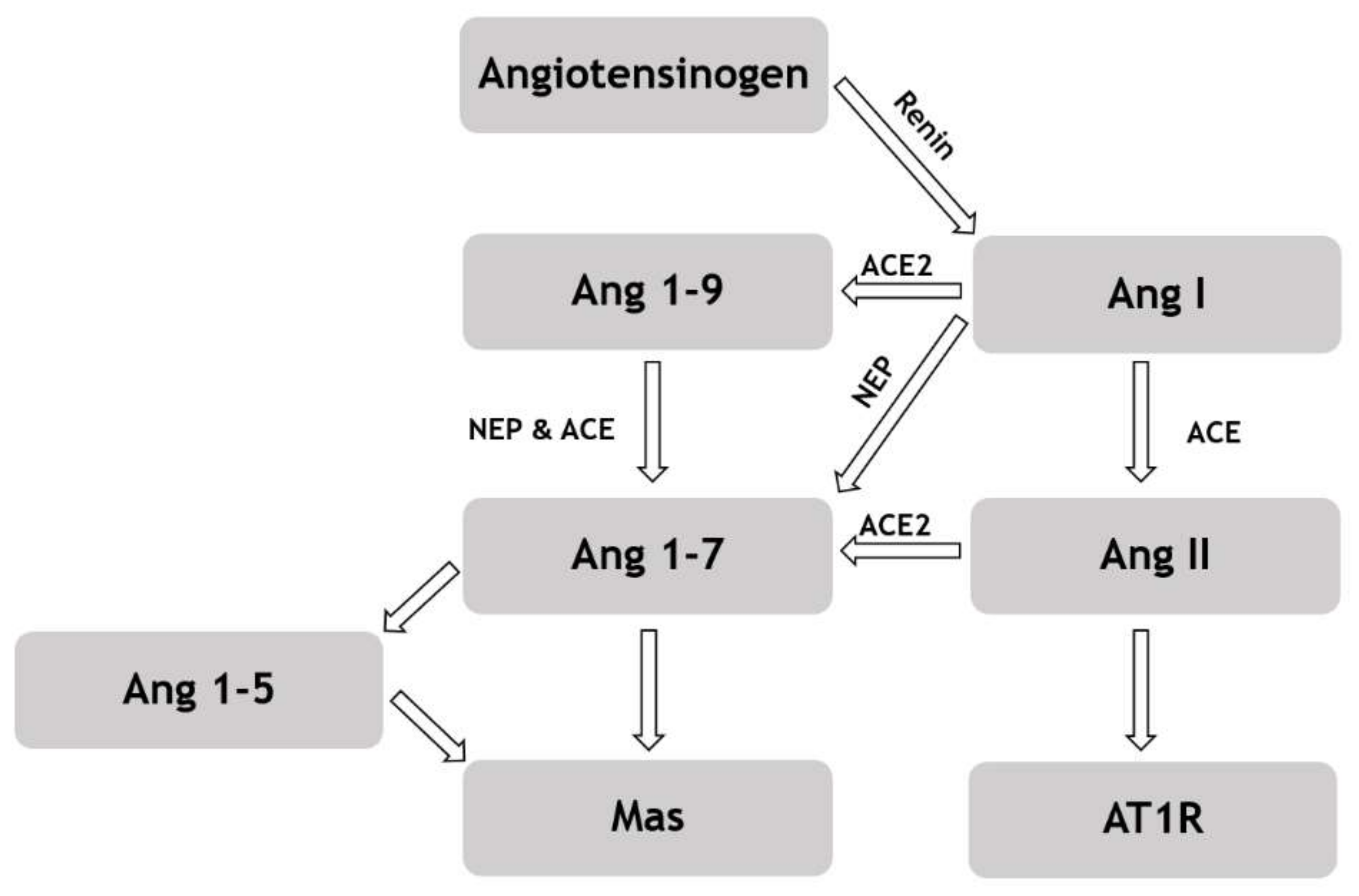 Biomedicines 09 01902 g002 Biomedicines 09 01902 g002