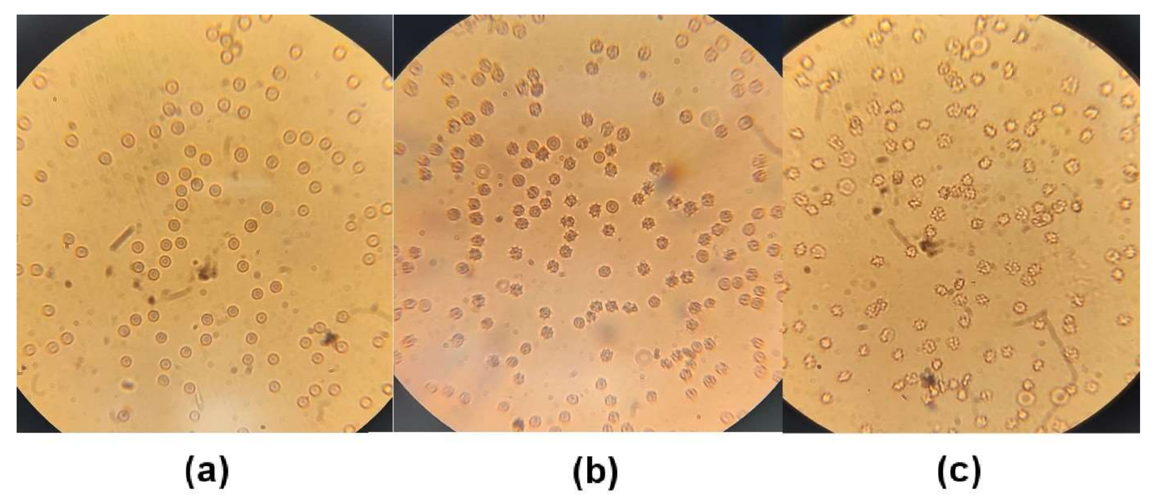 Biomedicines 09 01902 g007 Biomedicines 09 01902 g007