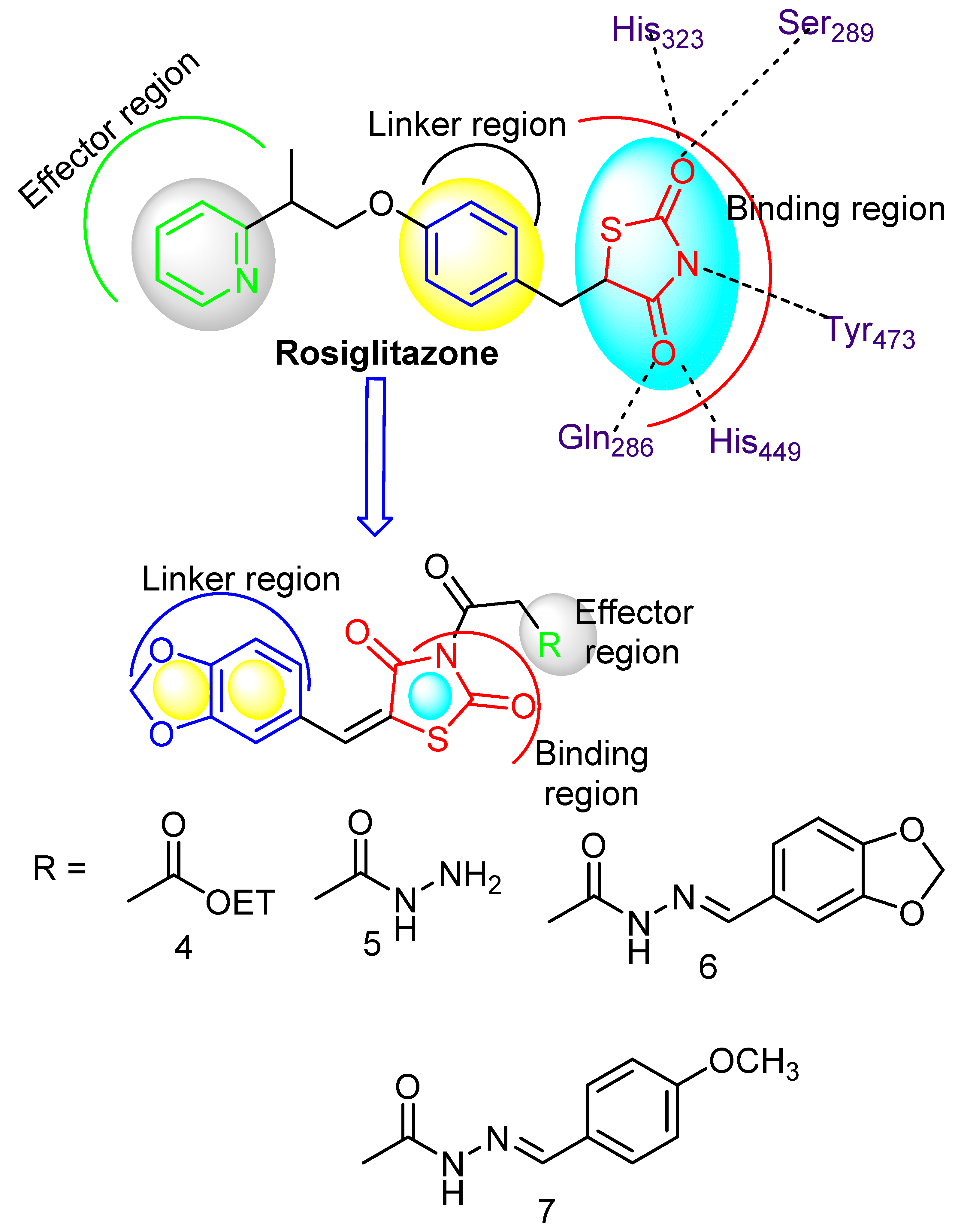 Biomedicines 10 00024 g001 Biomedicines 10 00024 g001