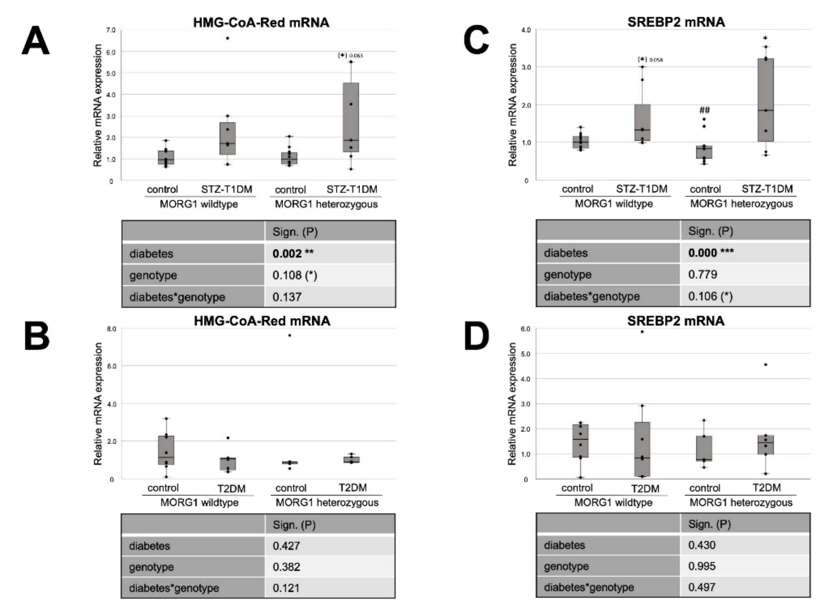 Biomedicines 10 00030 g002 Biomedicines 10 00030 g002