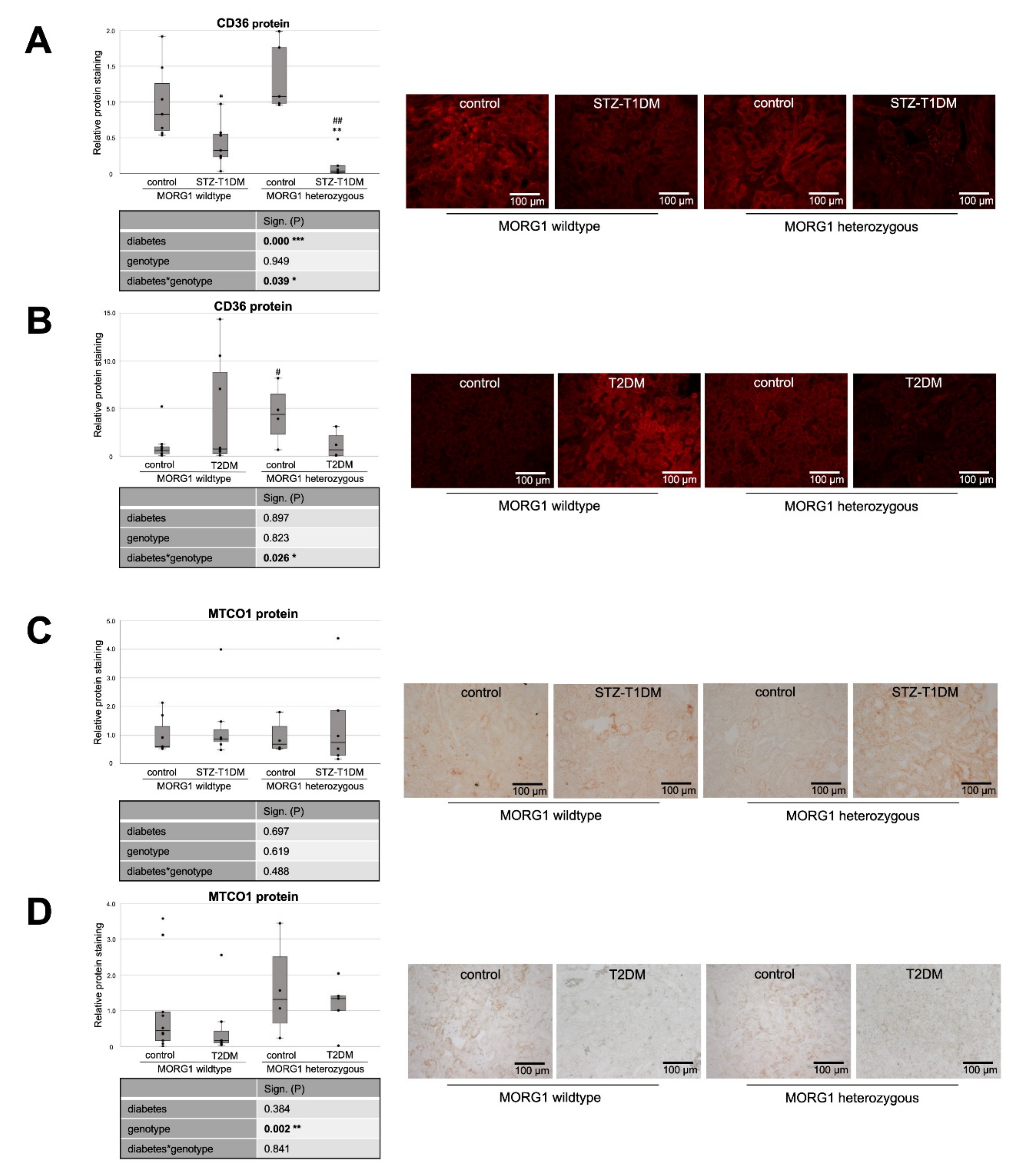 Biomedicines 10 00030 g003 Biomedicines 10 00030 g003
