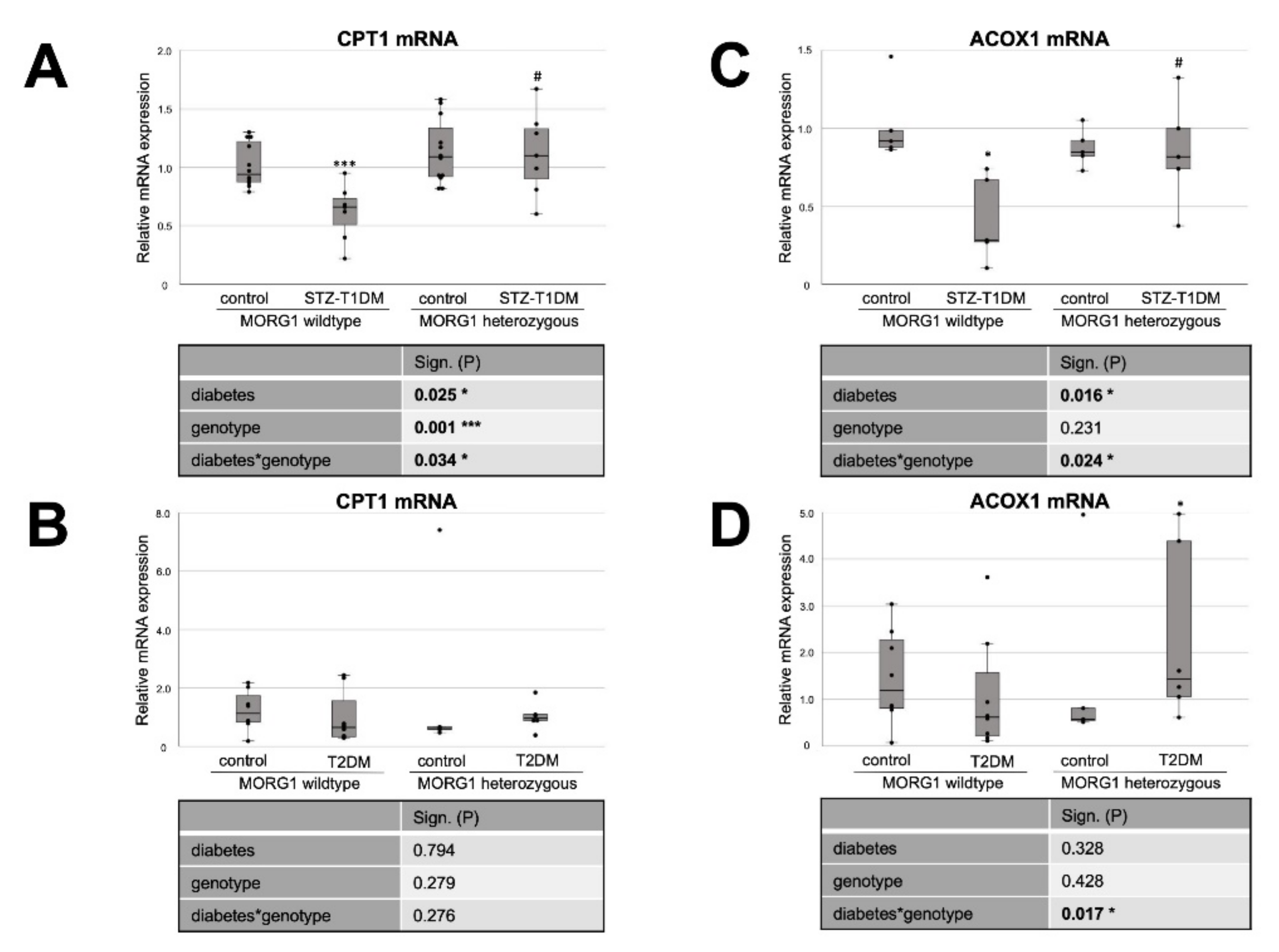 Biomedicines 10 00030 g005 Biomedicines 10 00030 g005