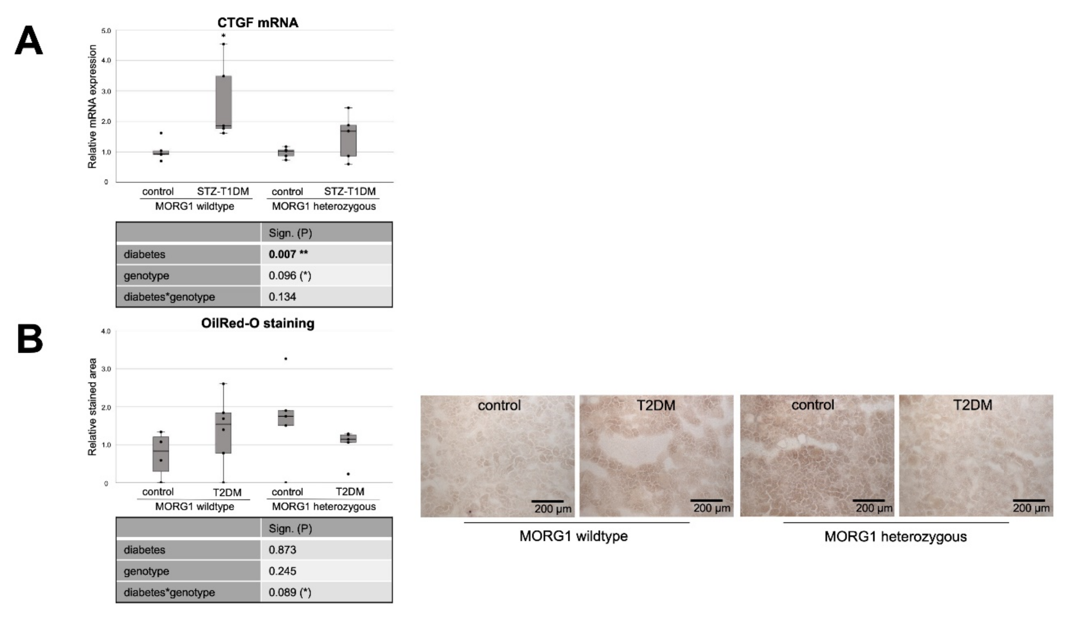 Biomedicines 10 00030 g006a Biomedicines 10 00030 g006a