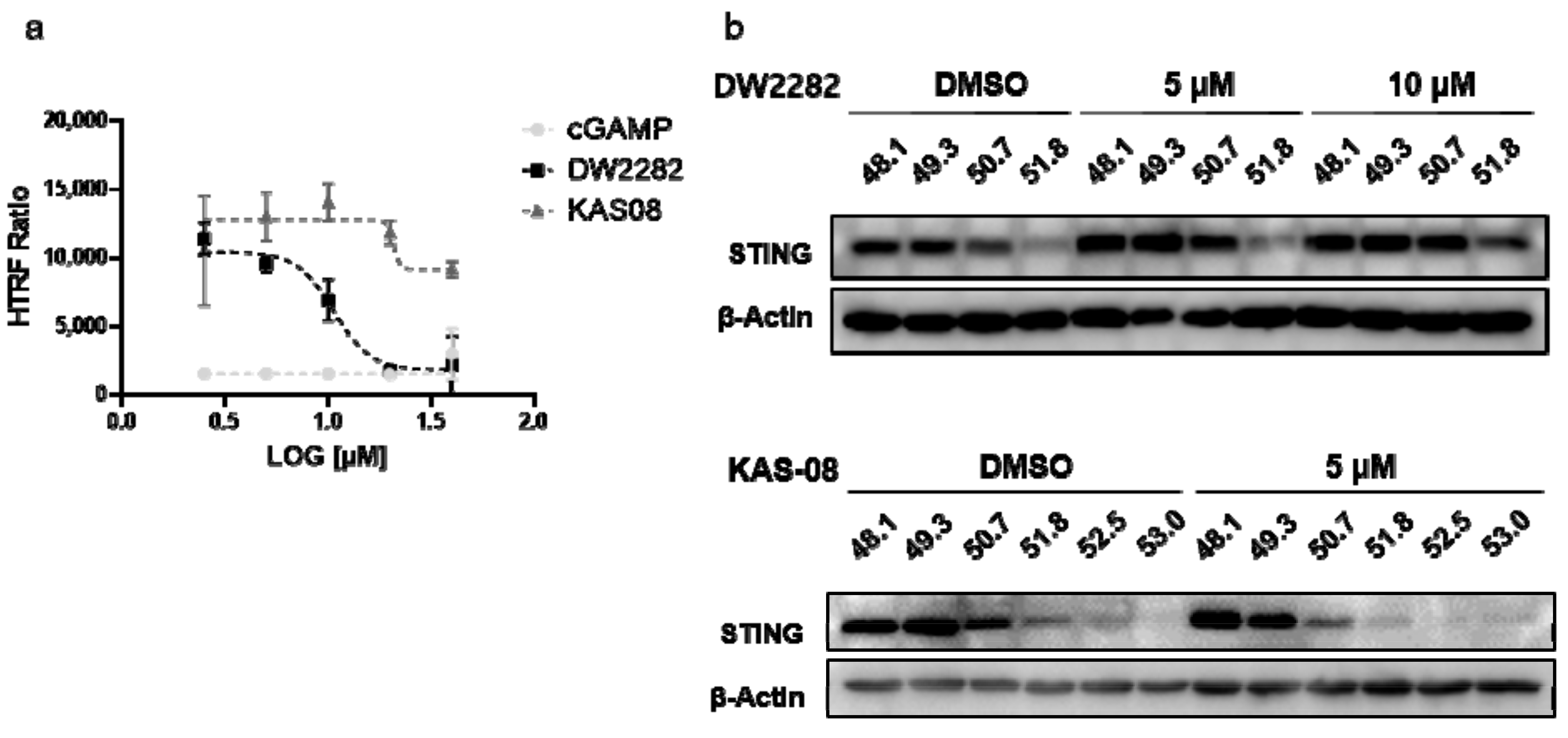 Biomedicines 10 00033 g004