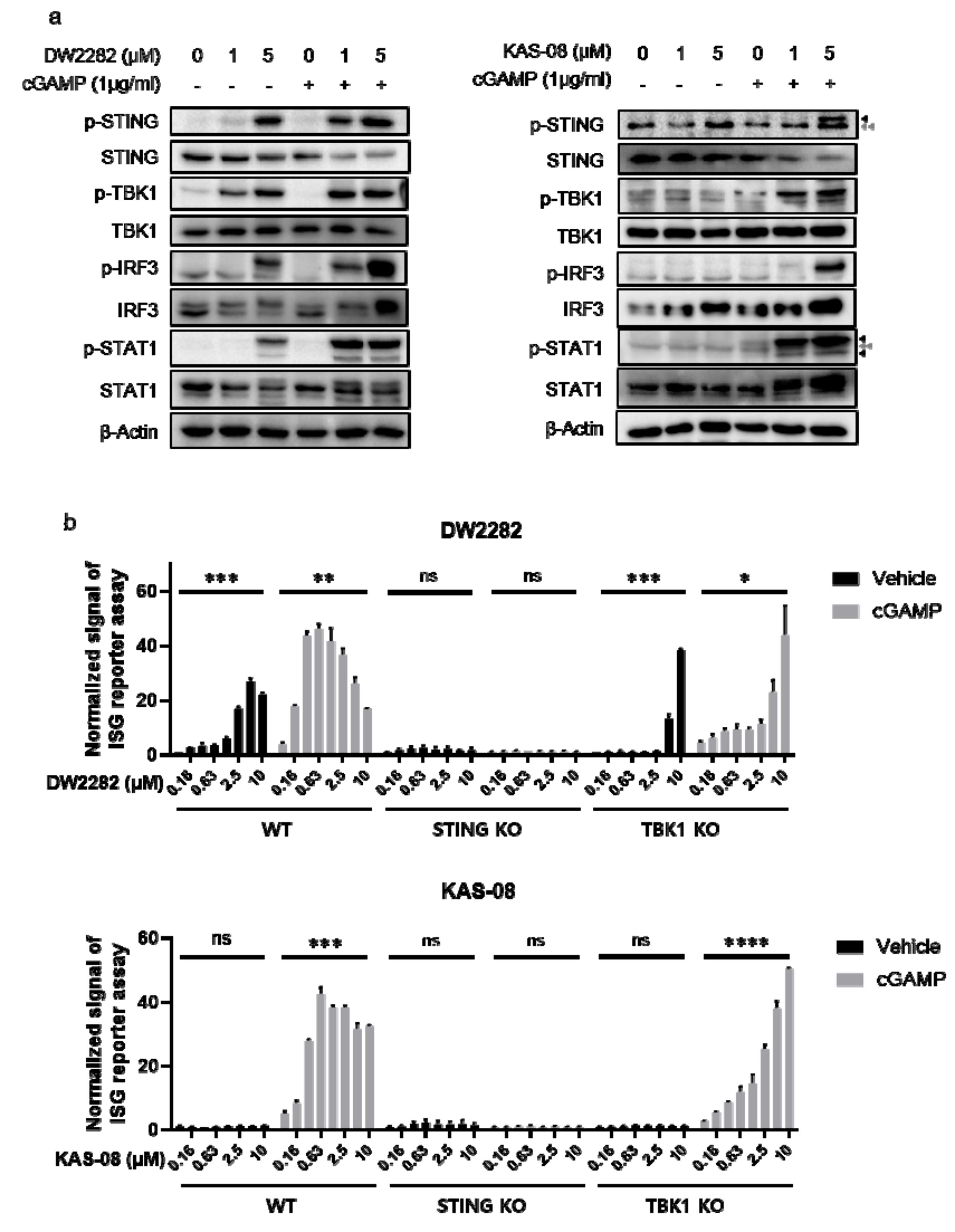 Biomedicines 10 00033 g005