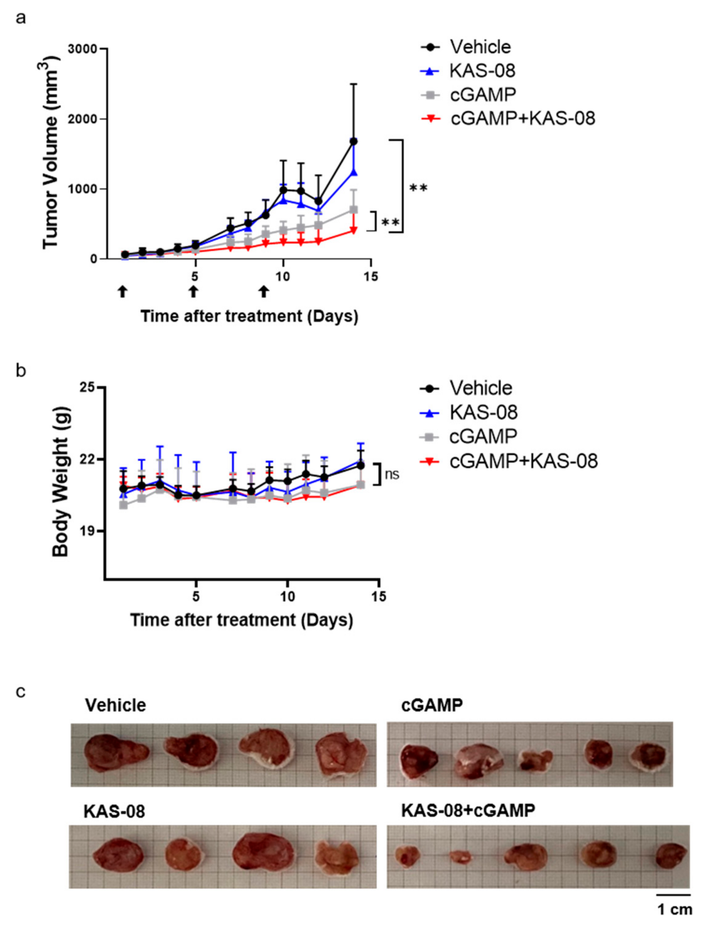 Biomedicines 10 00033 g007
