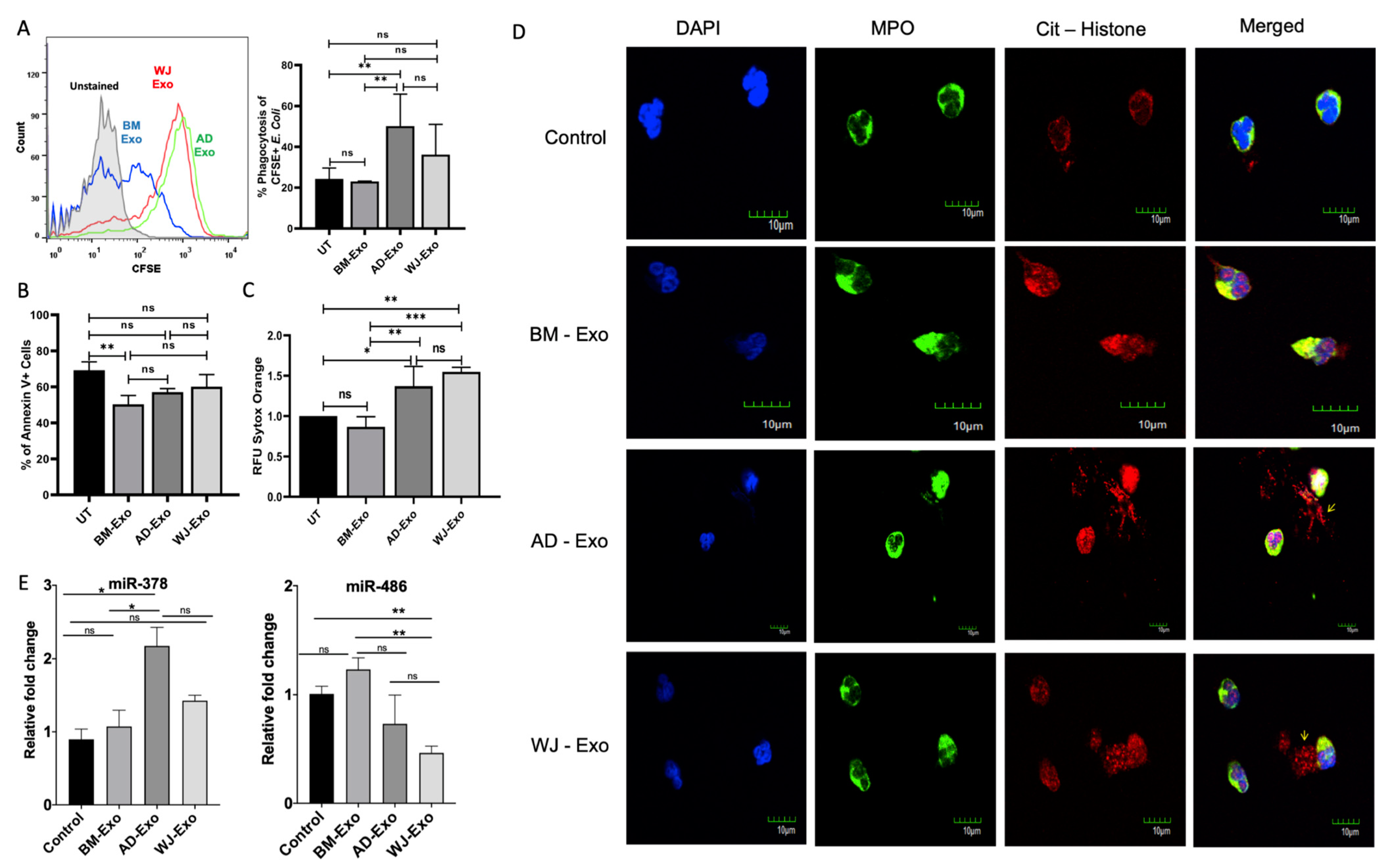 Biomedicines 10 00069 g006