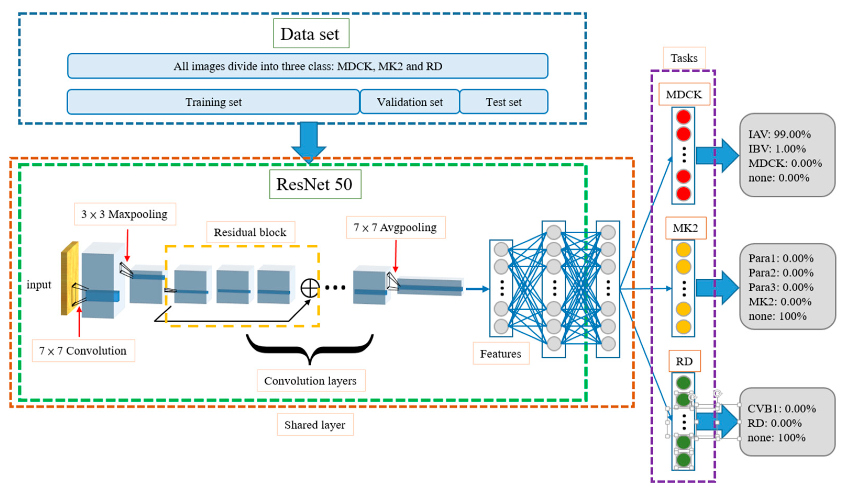Biomedicines 10 00070 g004