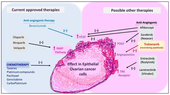 Biomedicines | Free Full-Text | Current Treatments And New Possible ...