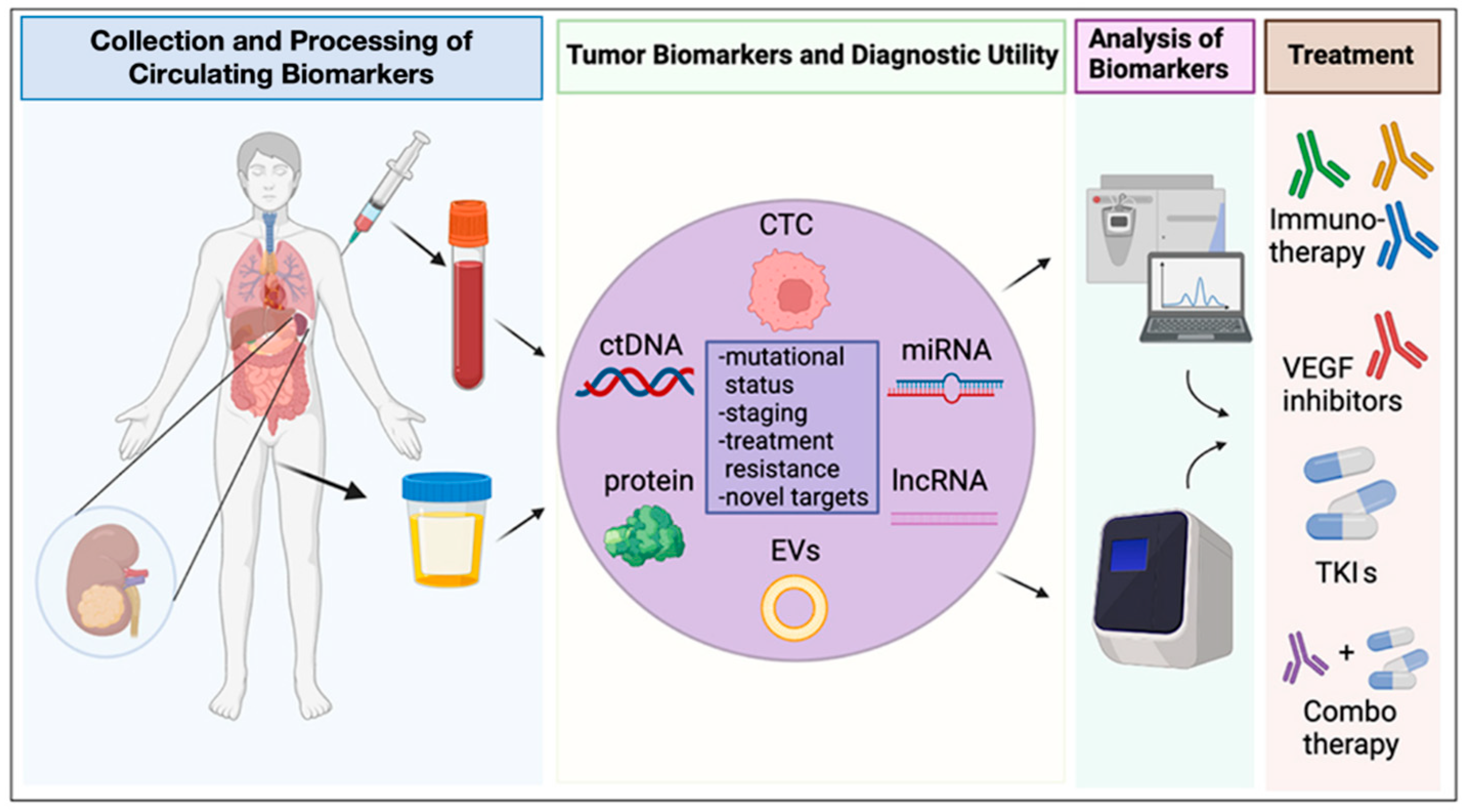Biomedicines | Free Full-Text | The Role of Circulating Biomarkers in the  Oncological Management of Metastatic Renal Cell Carcinoma: Where Do We  Stand Now?