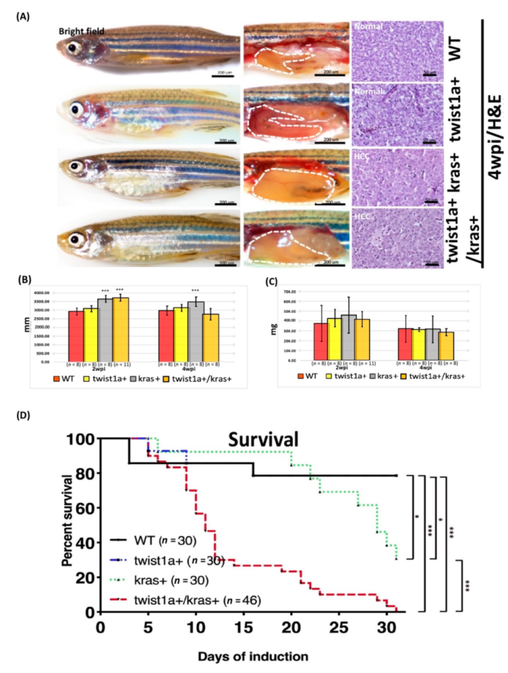 Biomedicines 10 00095 g001a
