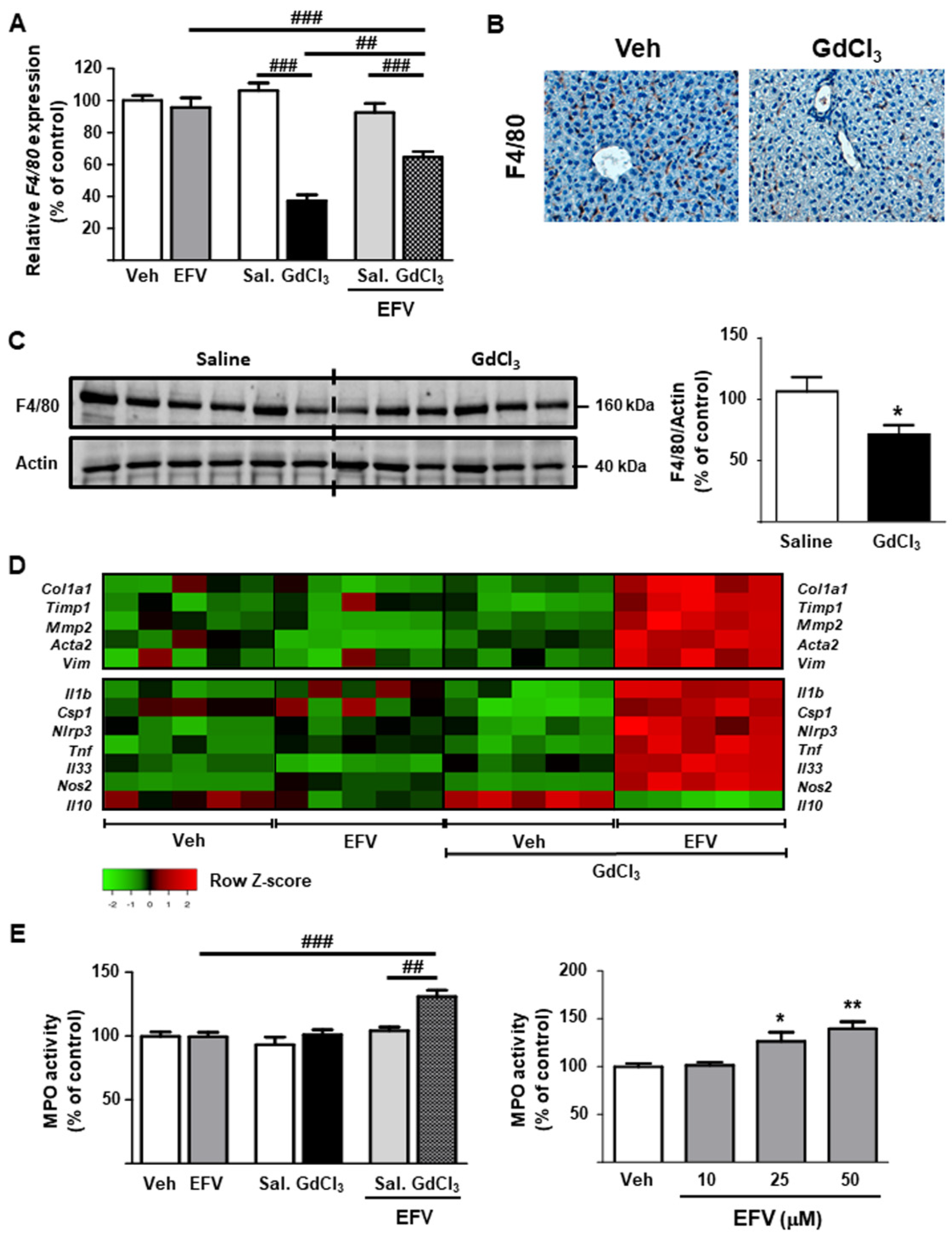 Biomedicines 10 00109 g008