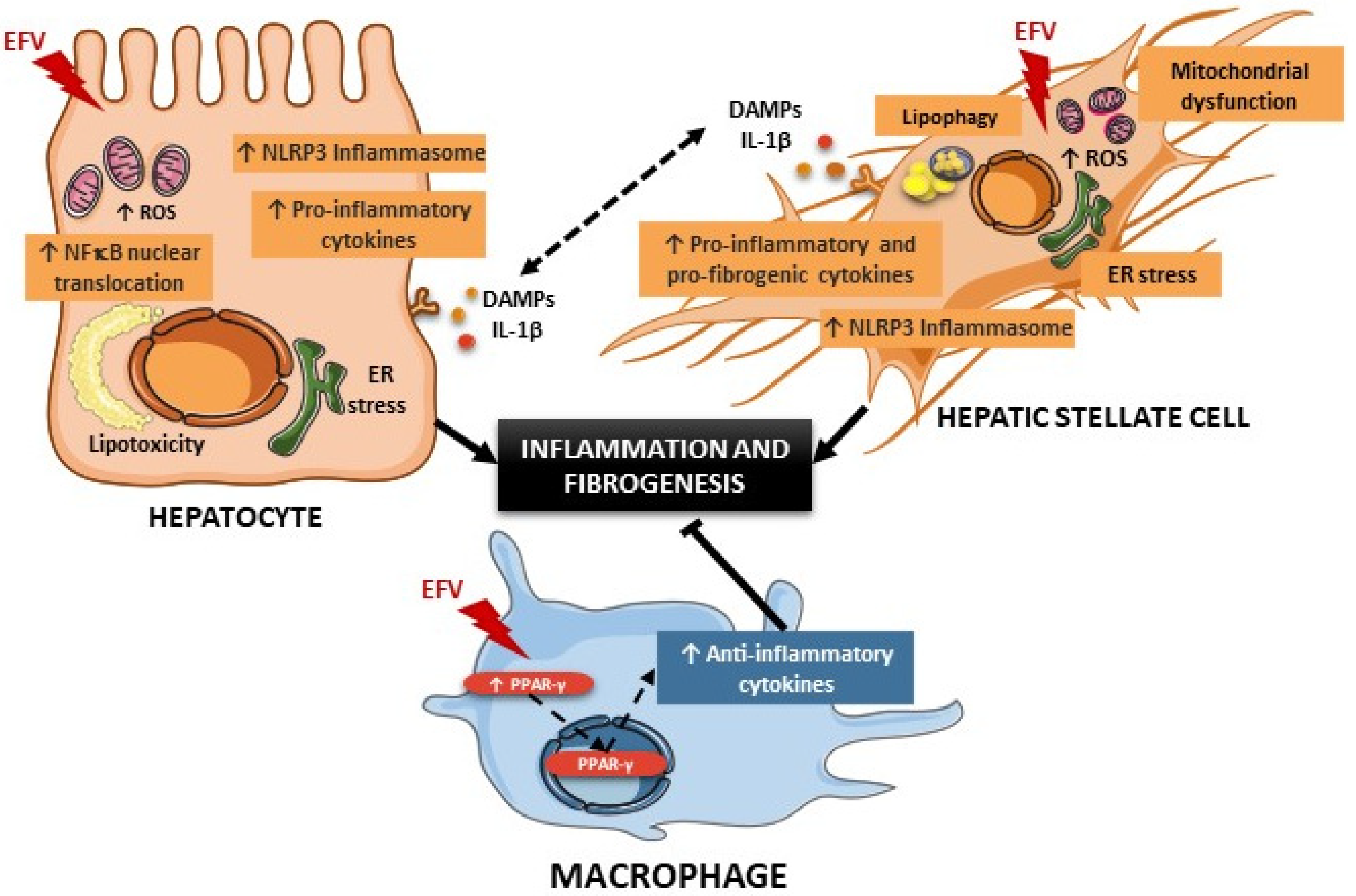 Biomedicines 10 00109 g009