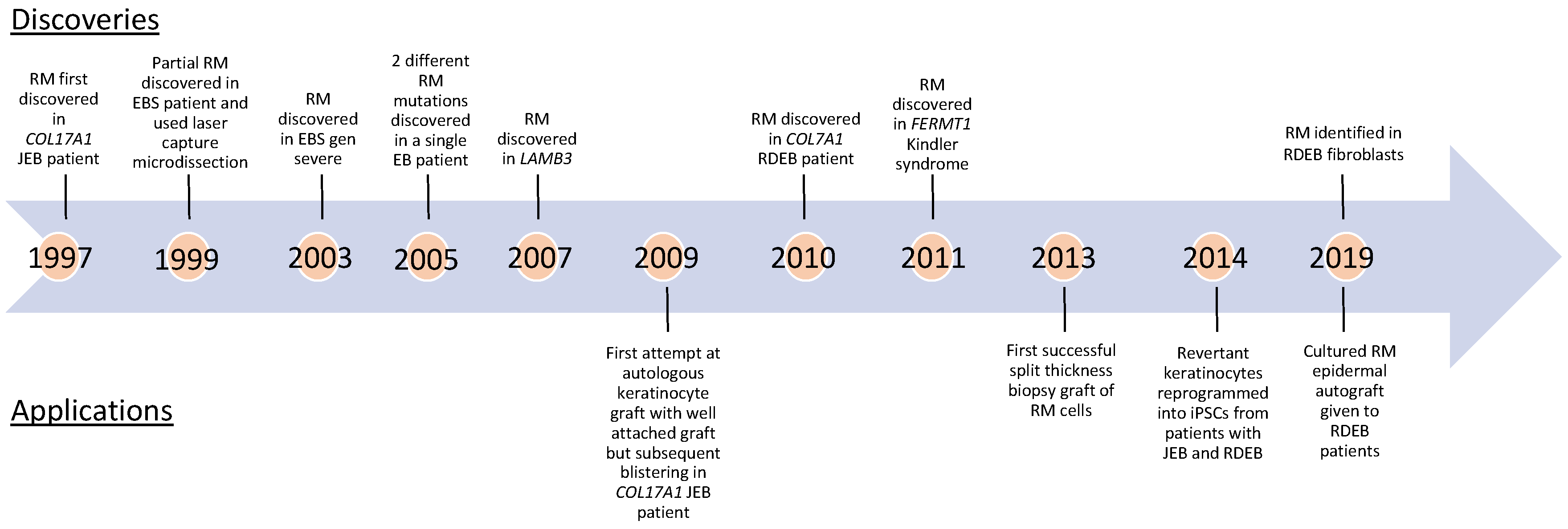 Biomedicines 10 00114 g002