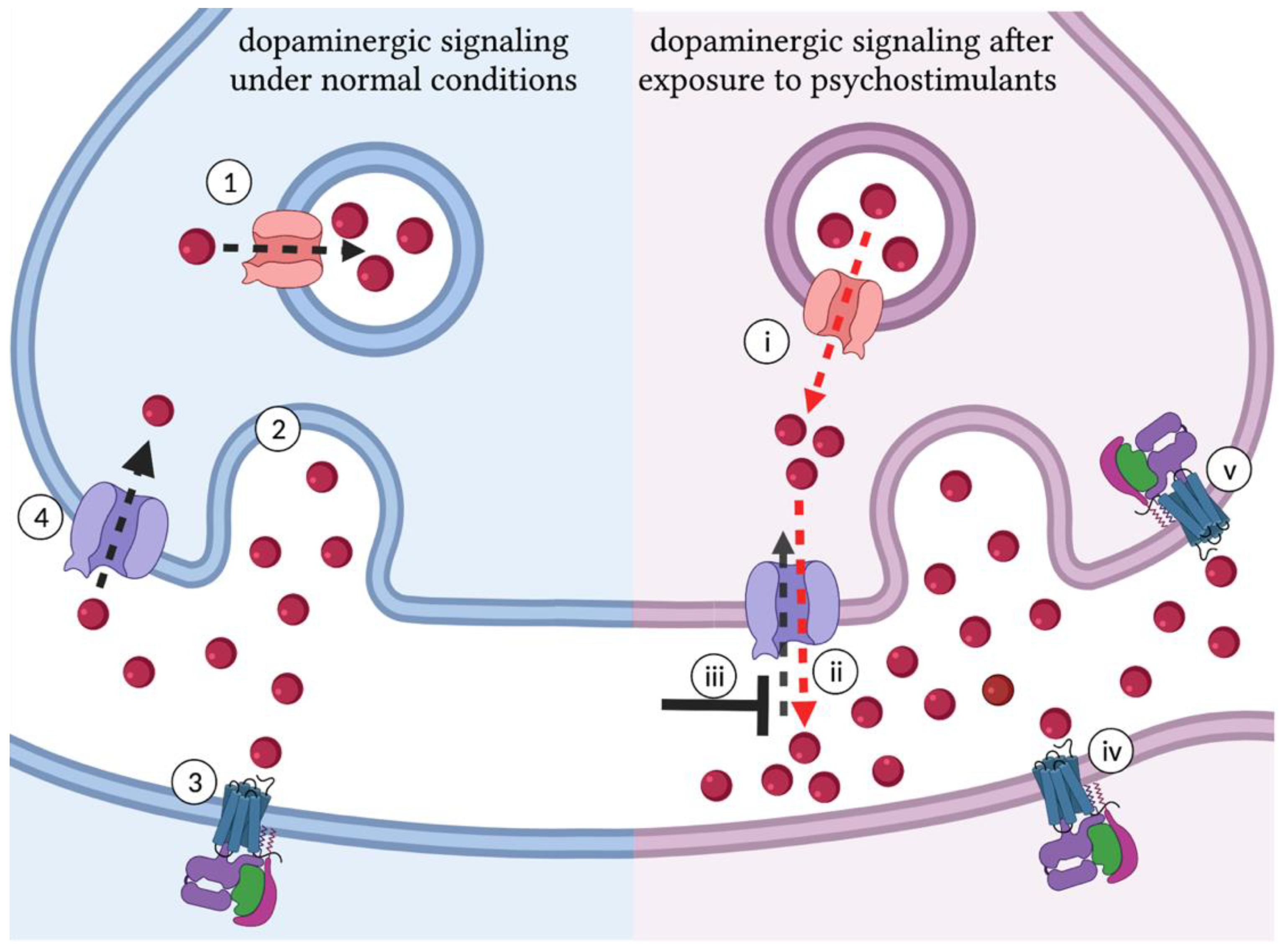 Biomedicines 10 00119 g001