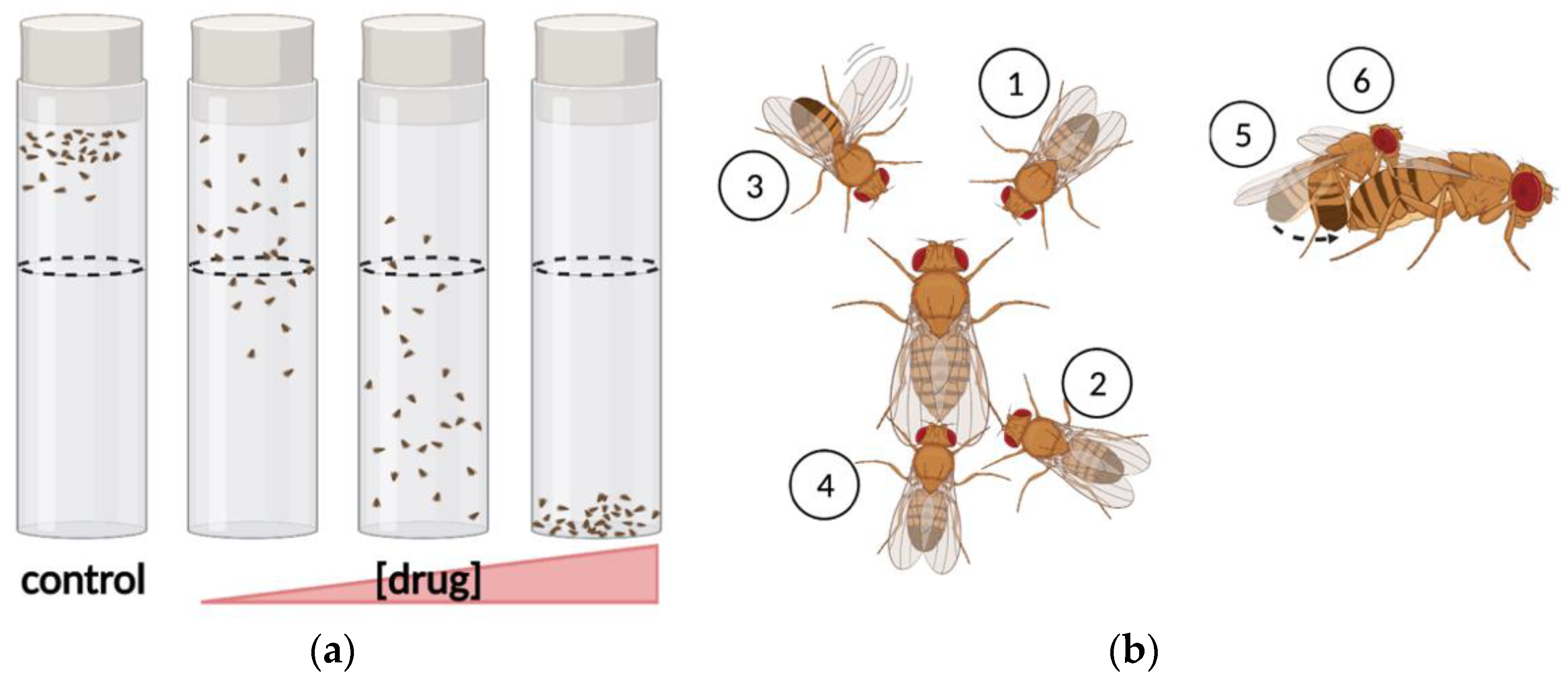 Biomedicines 10 00119 g003
