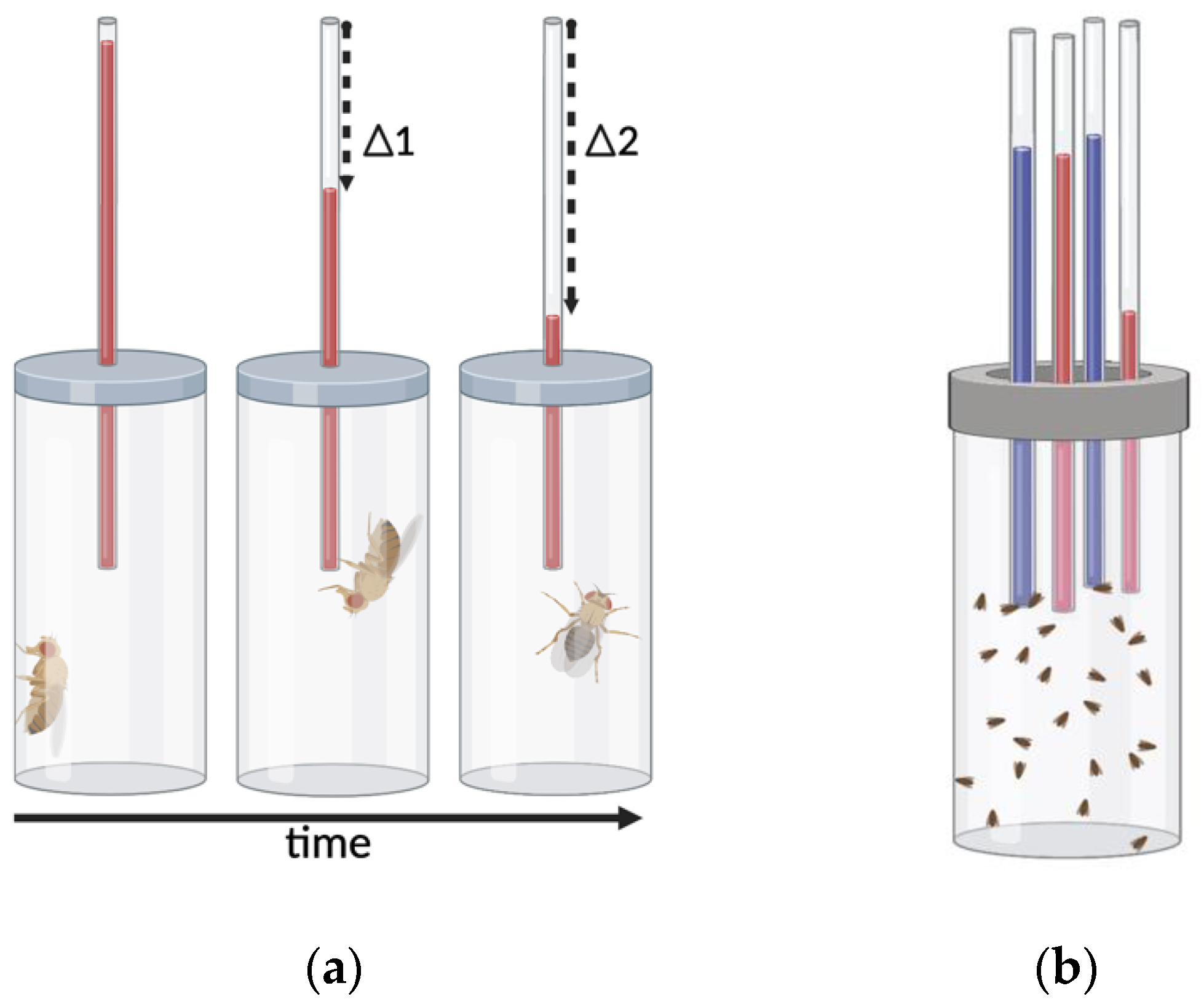 Biomedicines 10 00119 g004