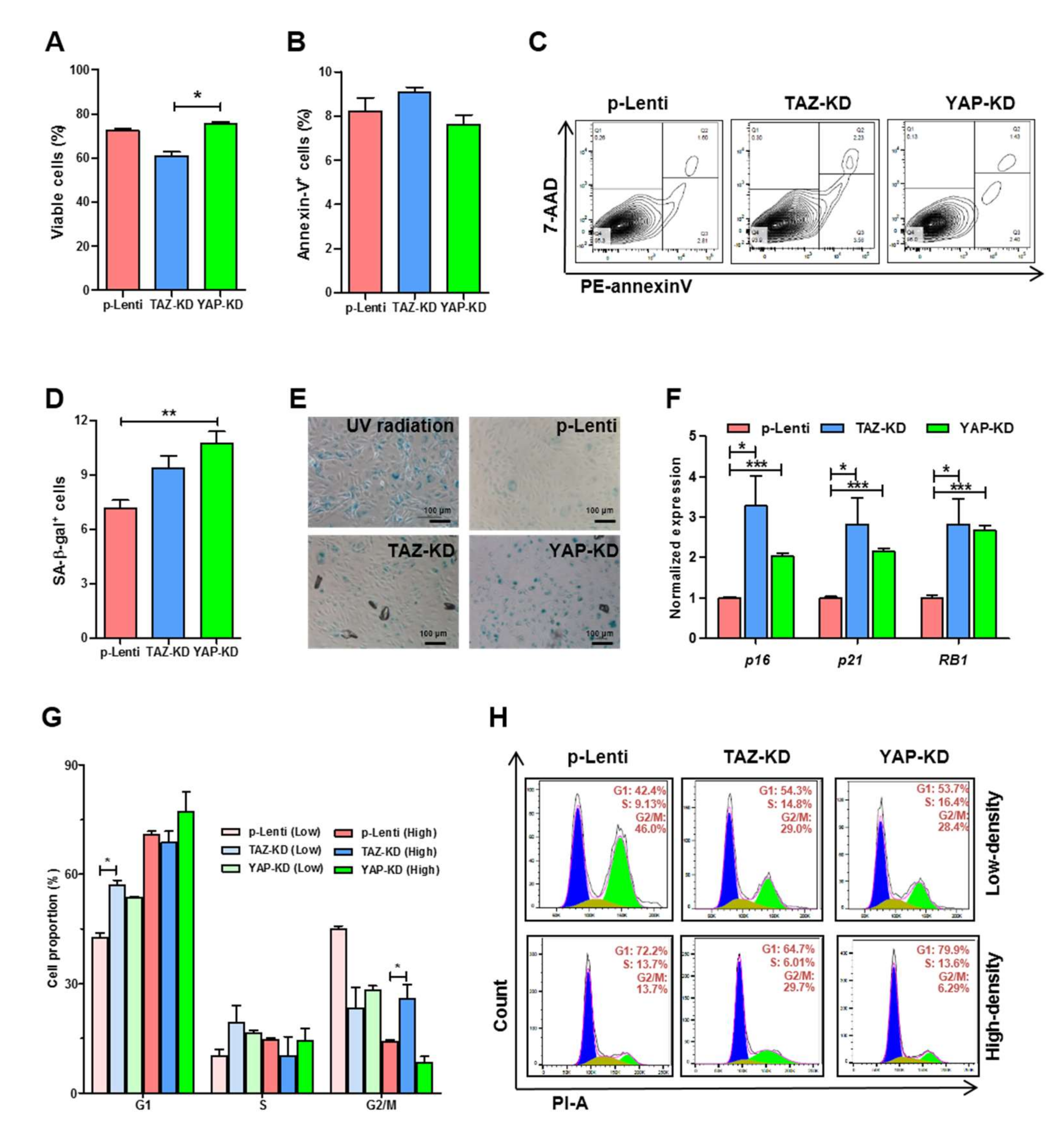 Biomedicines 10 00147 g003