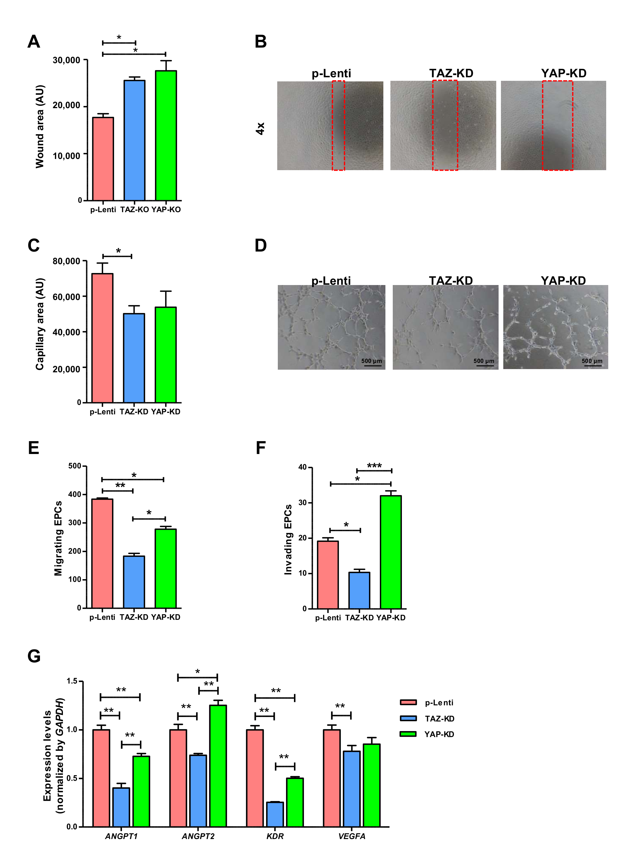 Biomedicines 10 00147 g004