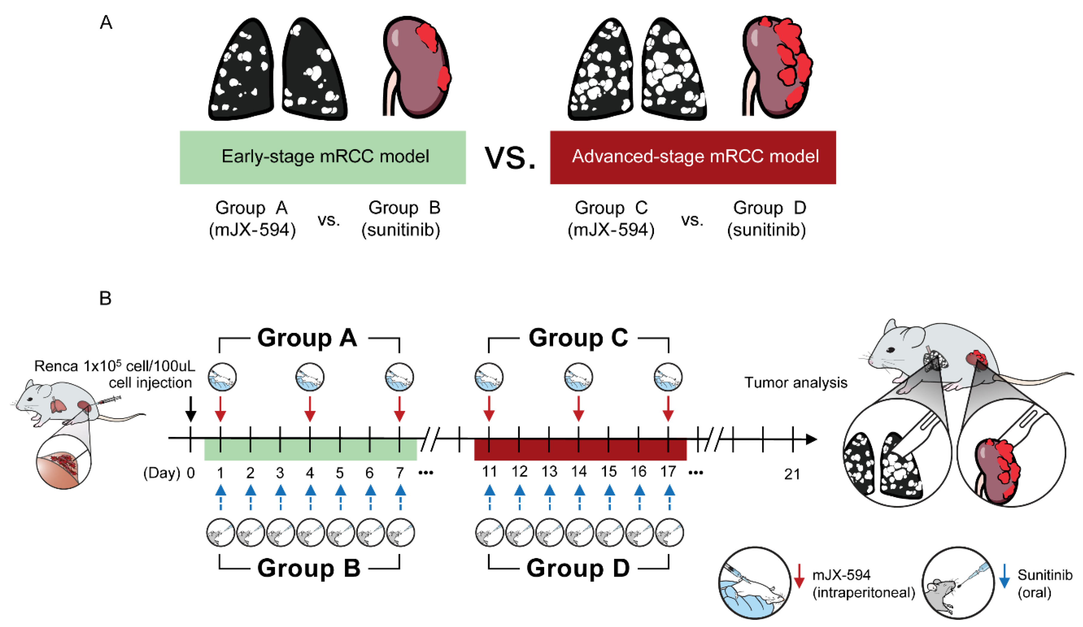 Biomedicines 10 00173 g001