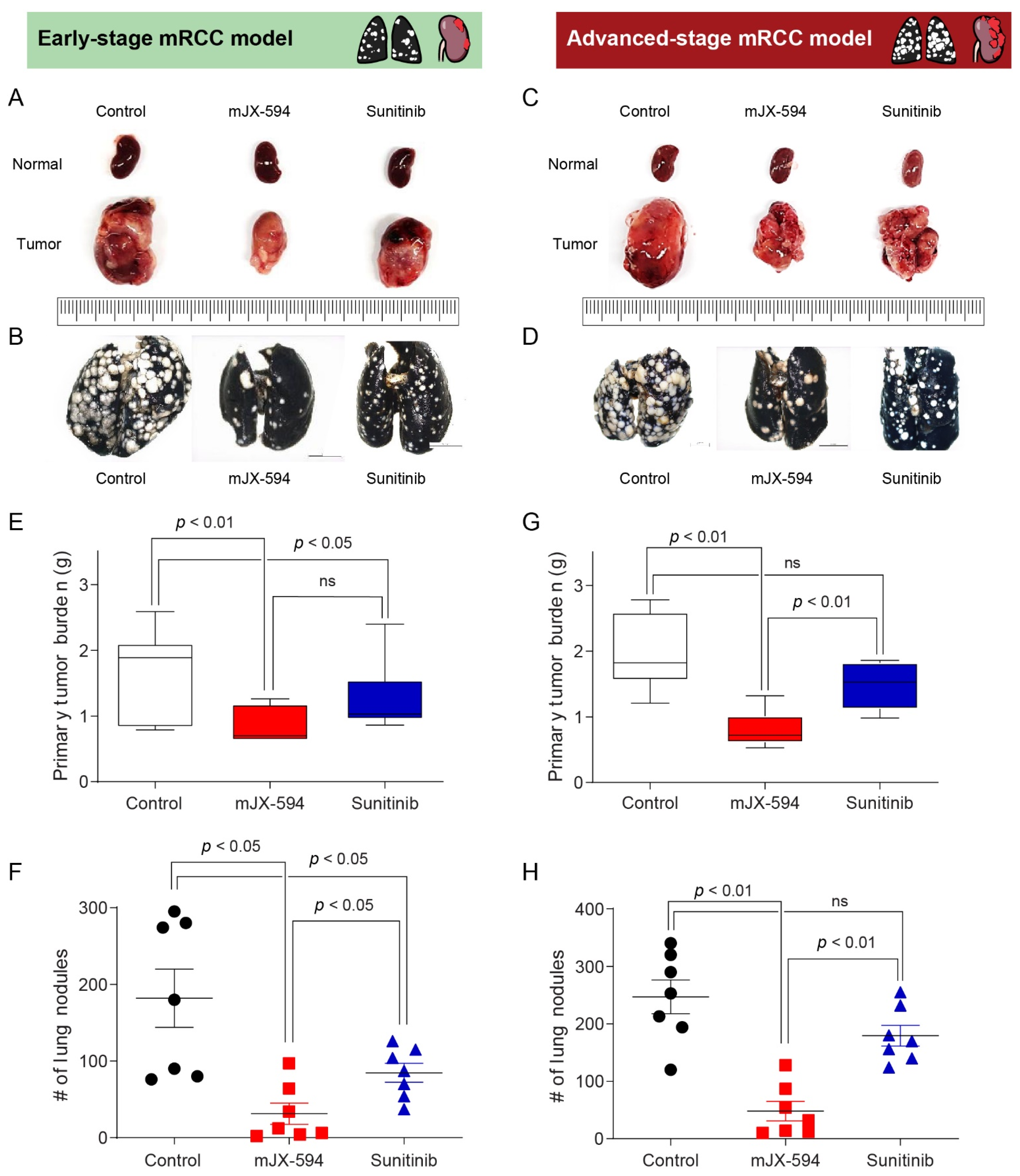 Biomedicines 10 00173 g003