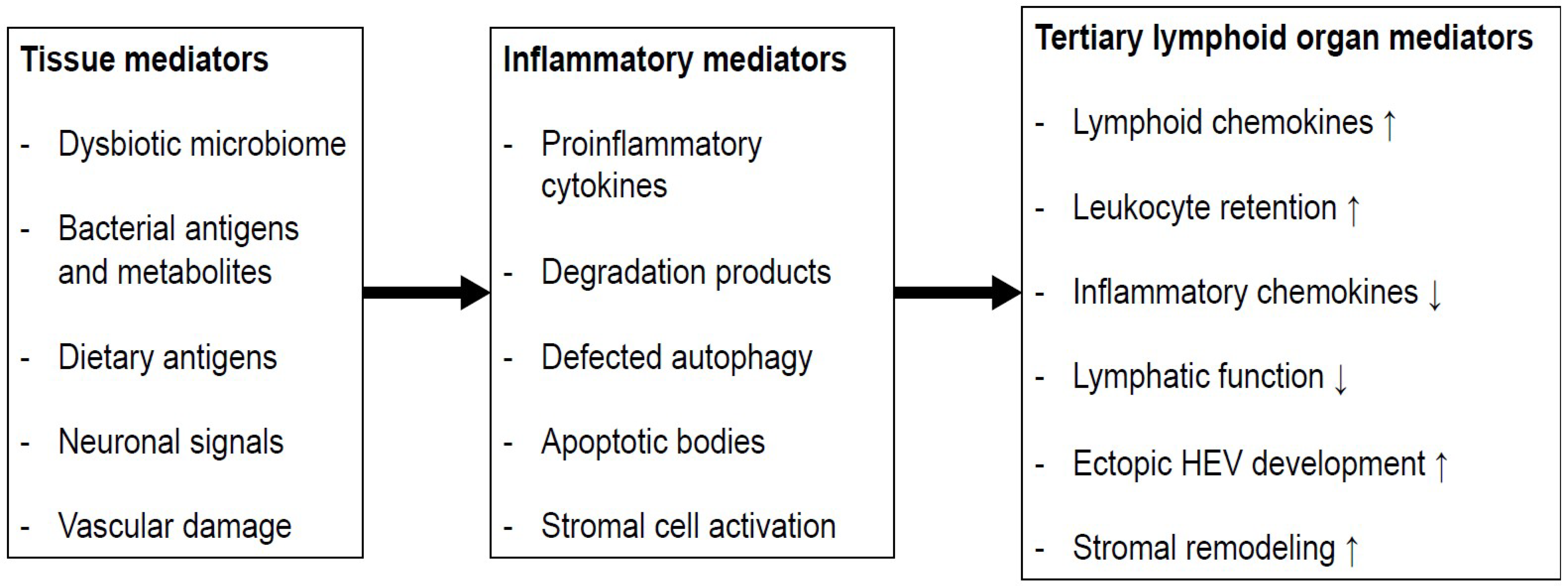 Biomedicines 10 00226 g003