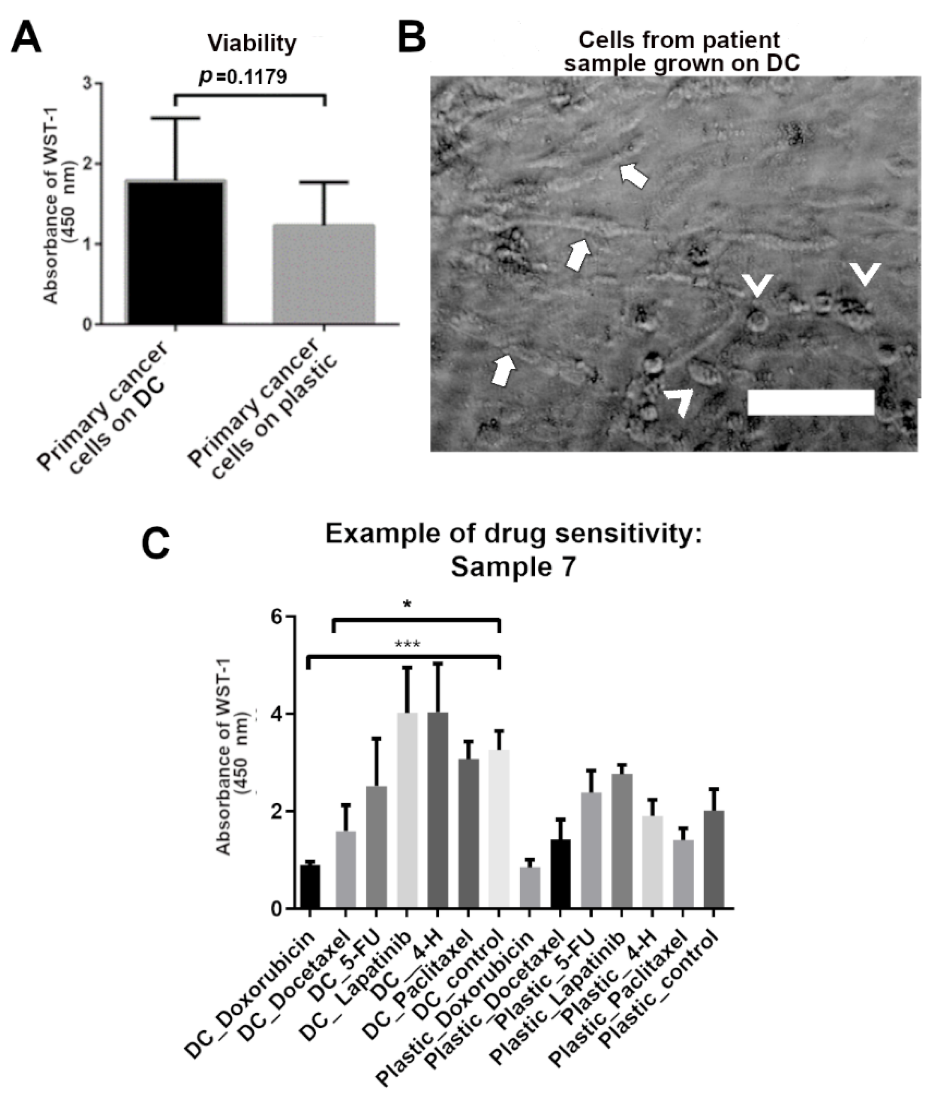 Biomedicines 10 00271 g004