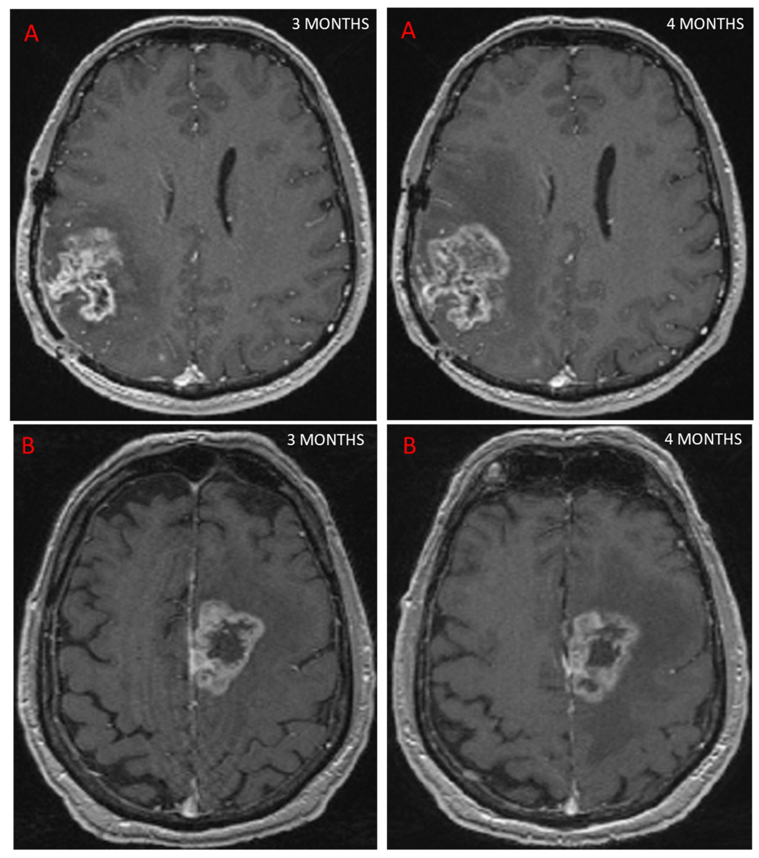 Biomedicines 10 00285 g002
