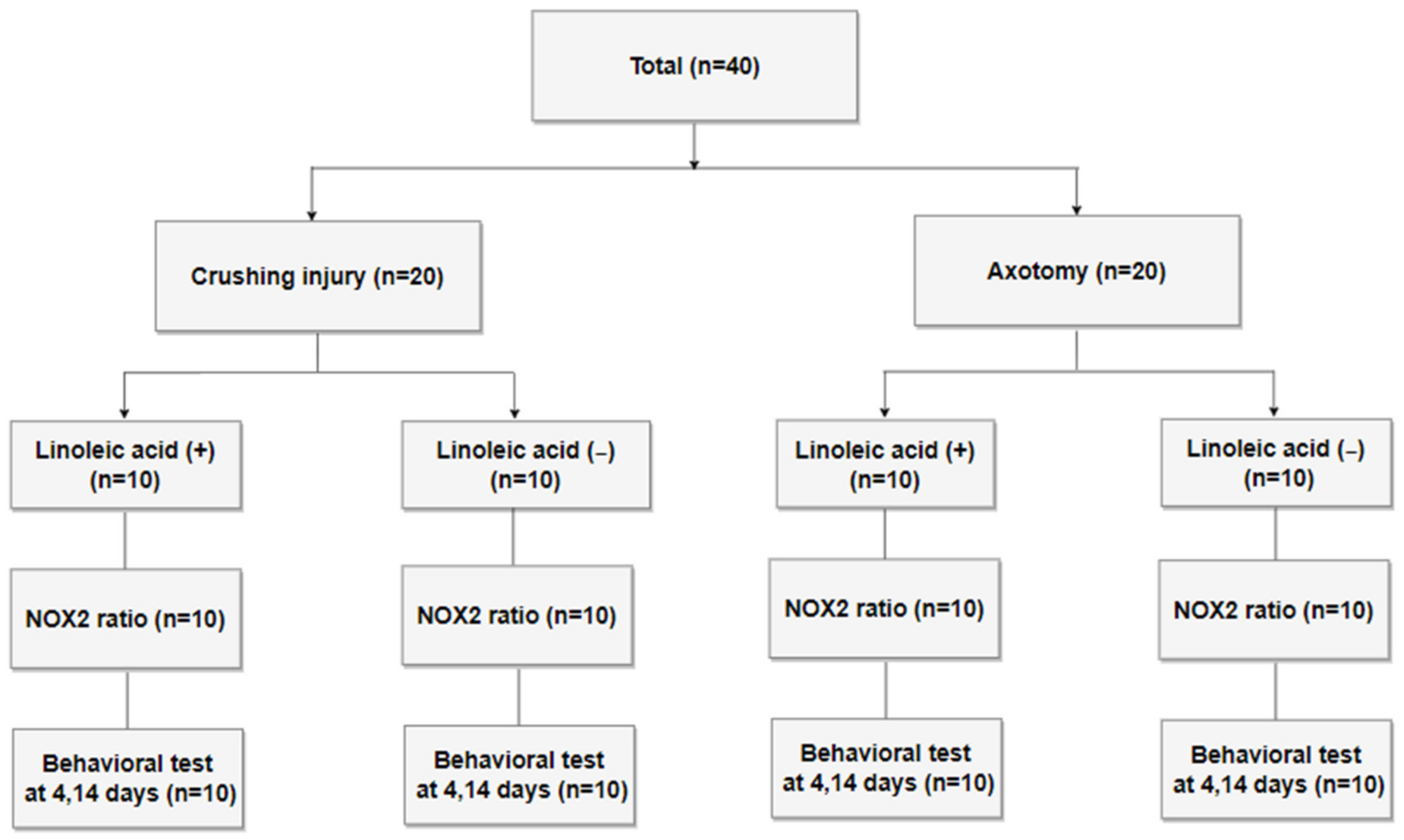 Biomedicines 10 00291 g001