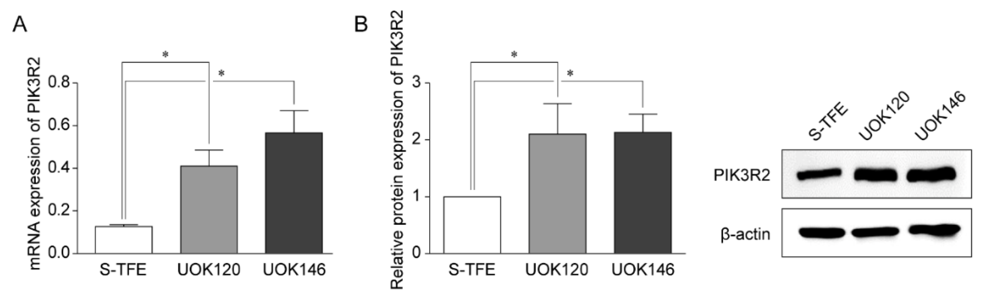 Biomedicines 10 00321 g003