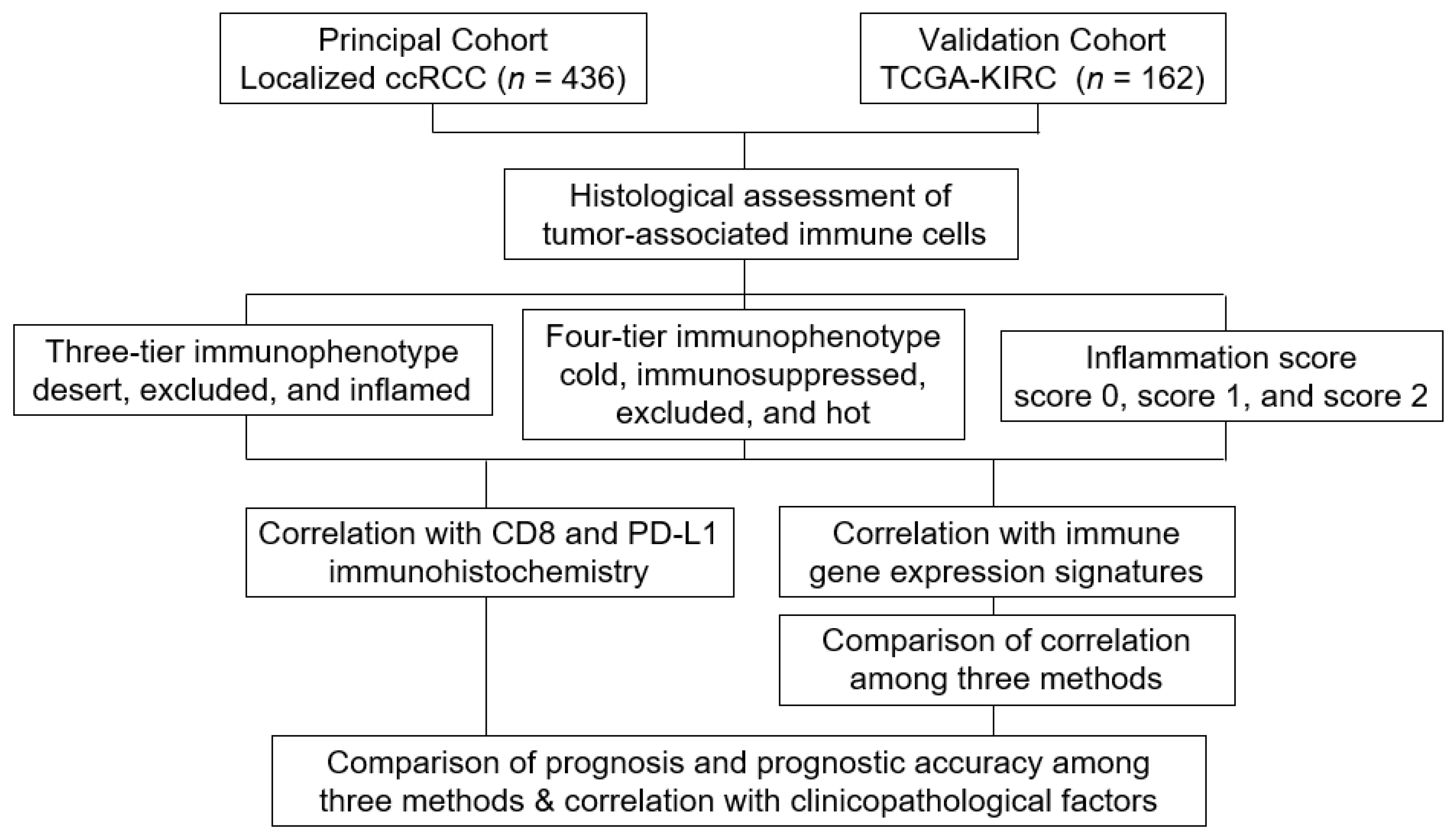 Biomedicines 10 00323 g001