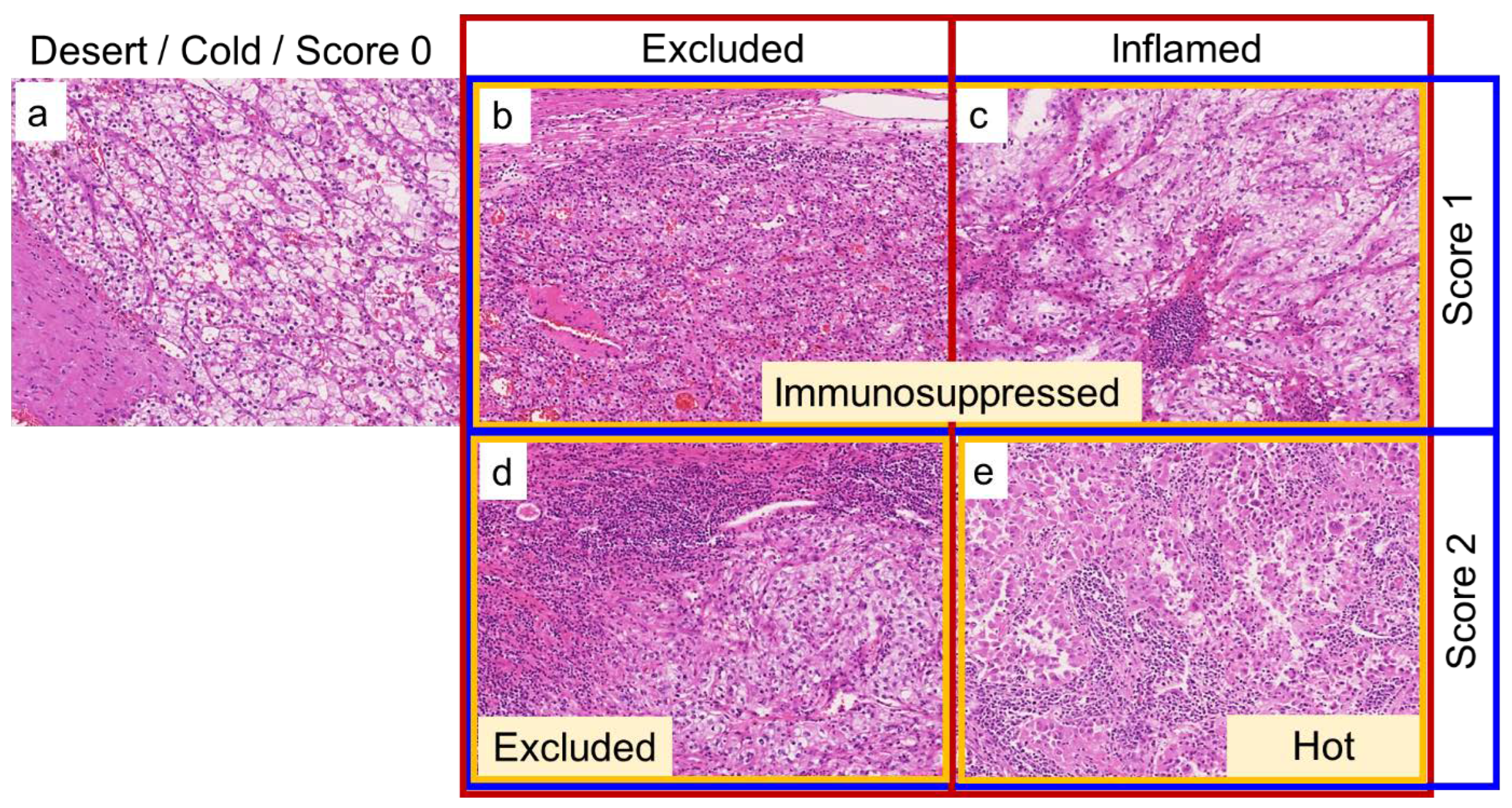 Biomedicines 10 00323 g002