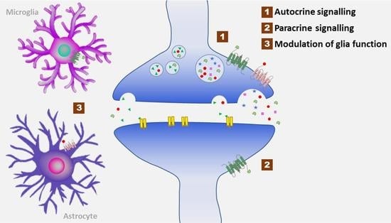 Biomedicines | Free Full-Text | Potentials of Neuropeptides as Therapeutic  Agents for Neurological Diseases | HTML