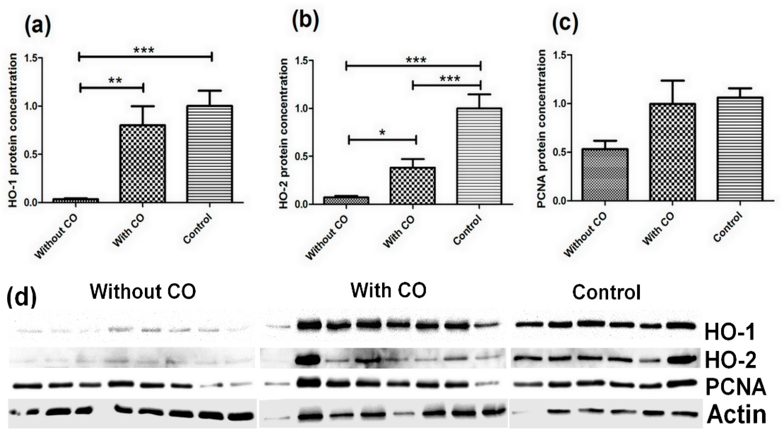 Biomedicines 10 00358 g002
